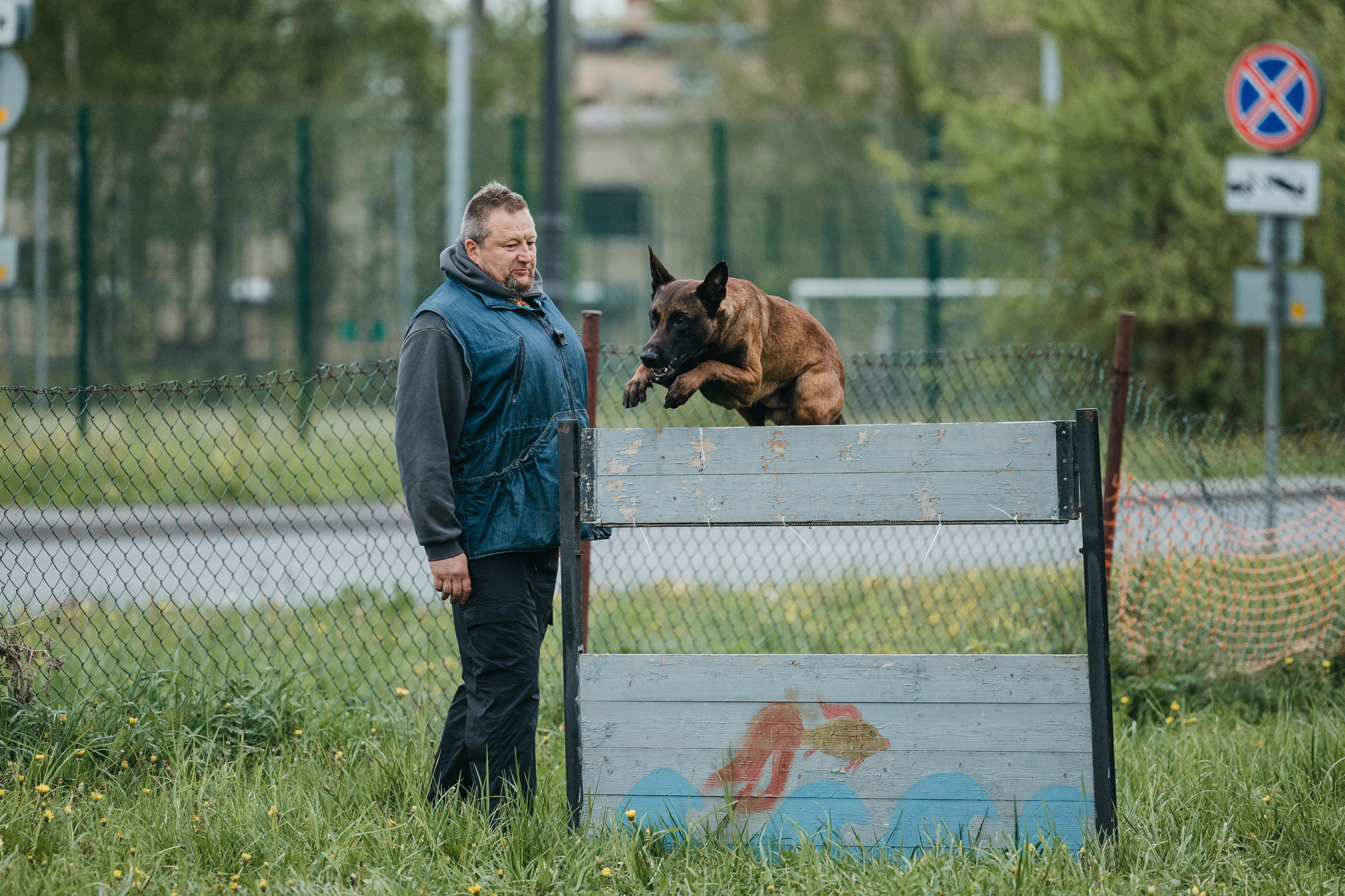 26.05.25 г. Пушкин квалификационные соревнования. Фотограф-анималист Анна Маринич