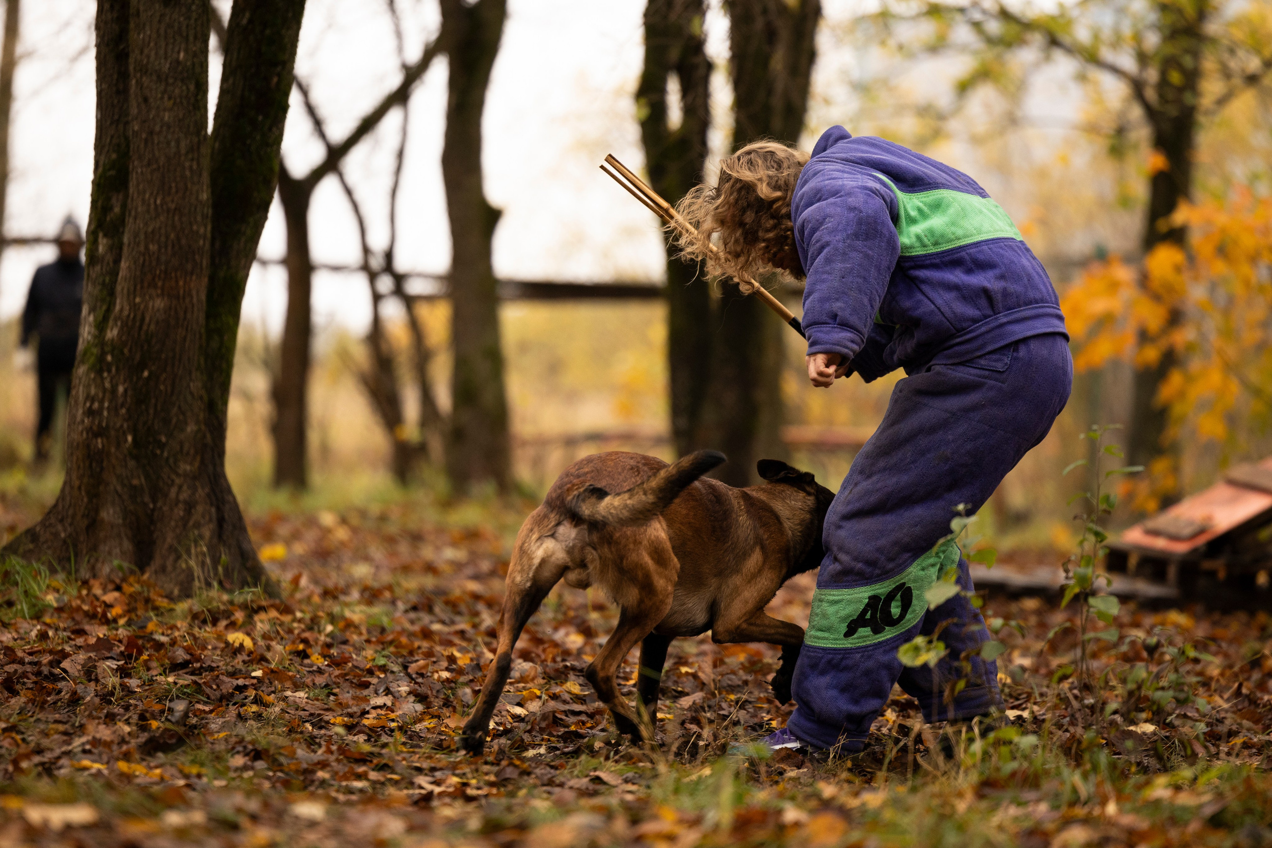 Соревнования по Мондьорингу г. Вологда. Фотограф-анималист Анна Маринич