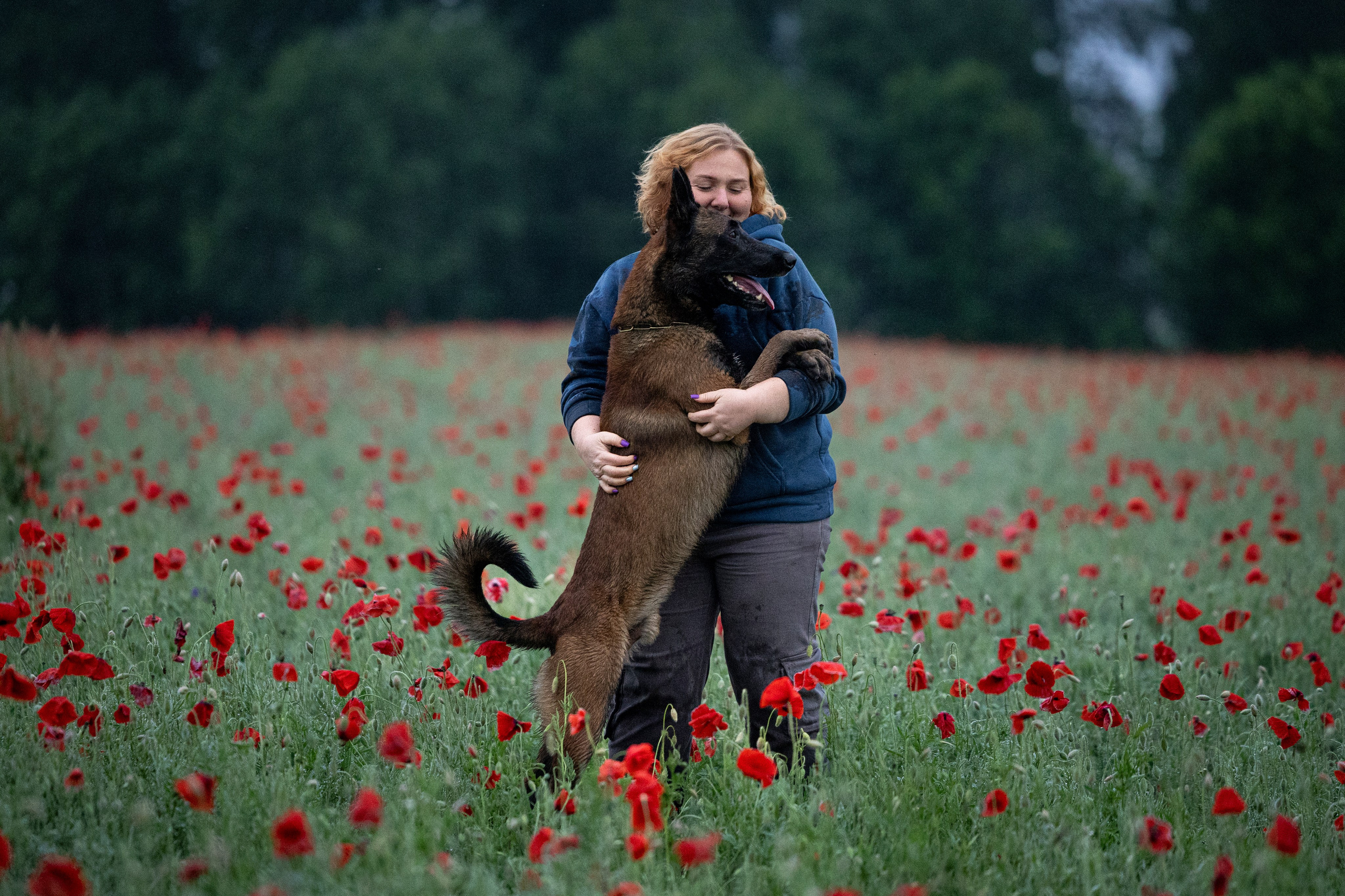 Маковое поле. Фотограф-анималист Анна Маринич
