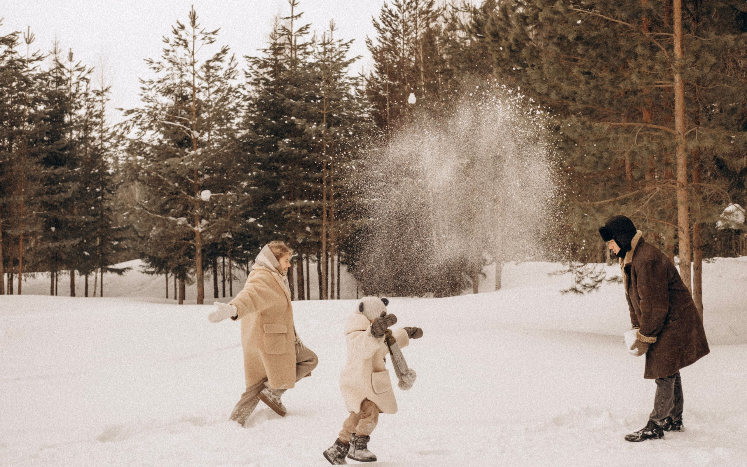 Зимняя история. Главная