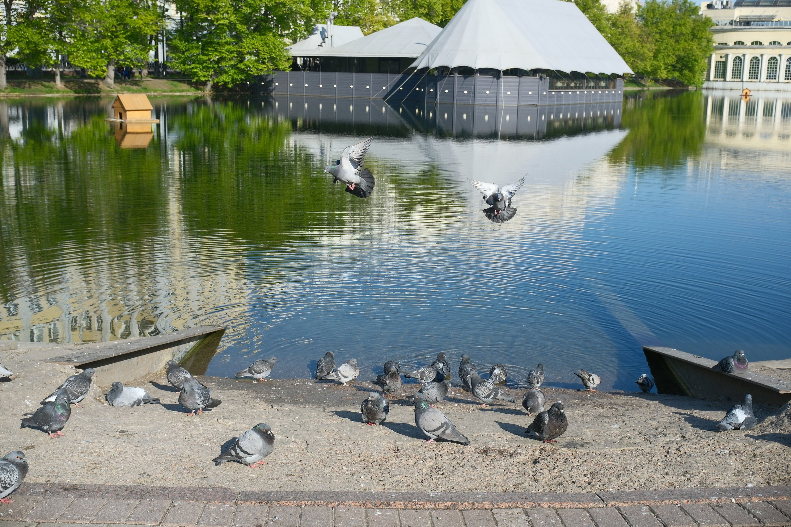 Улица, люди, жизнь…