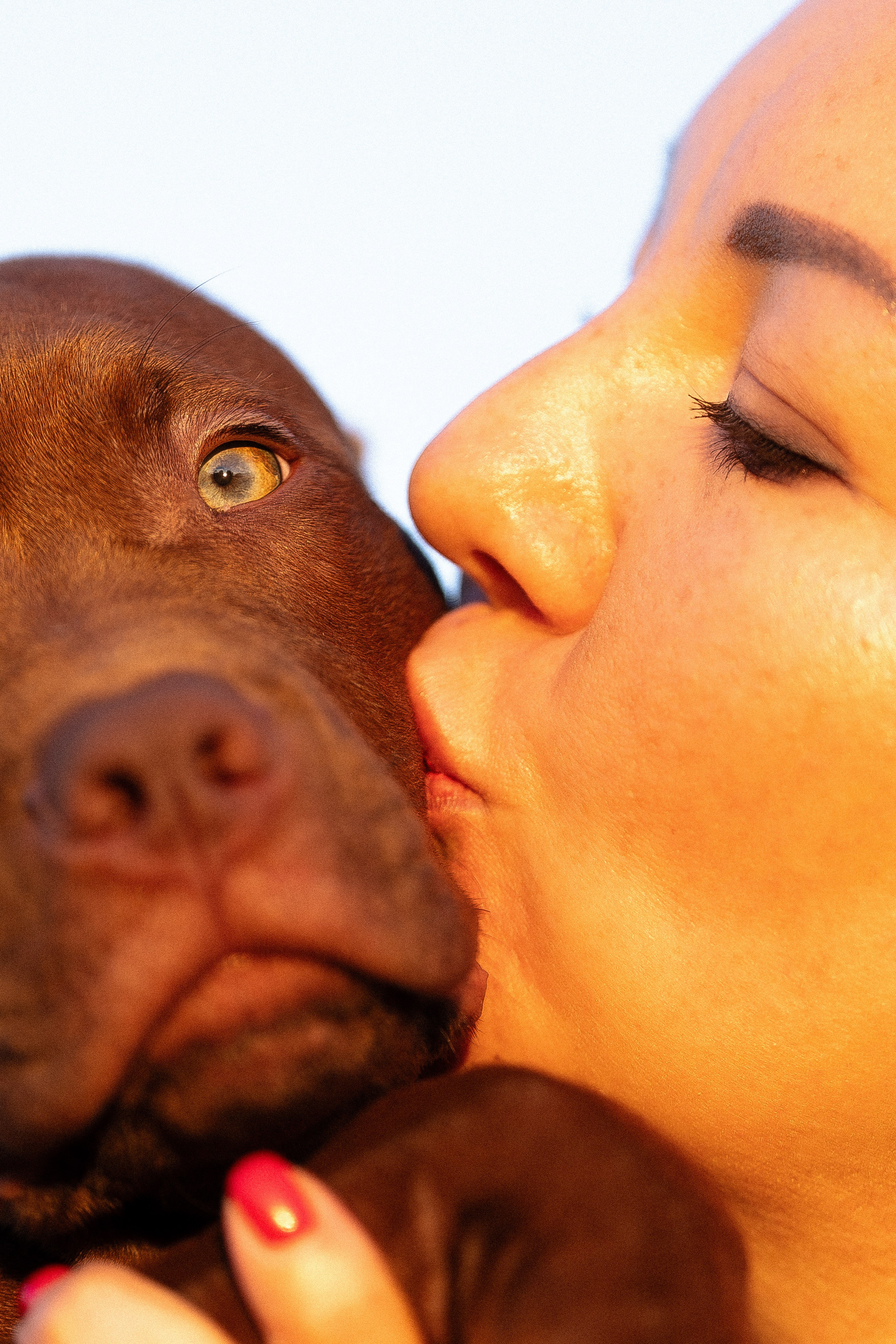 Елена и Хан. Фотограф и видеограф анималист Аганина Дарья
