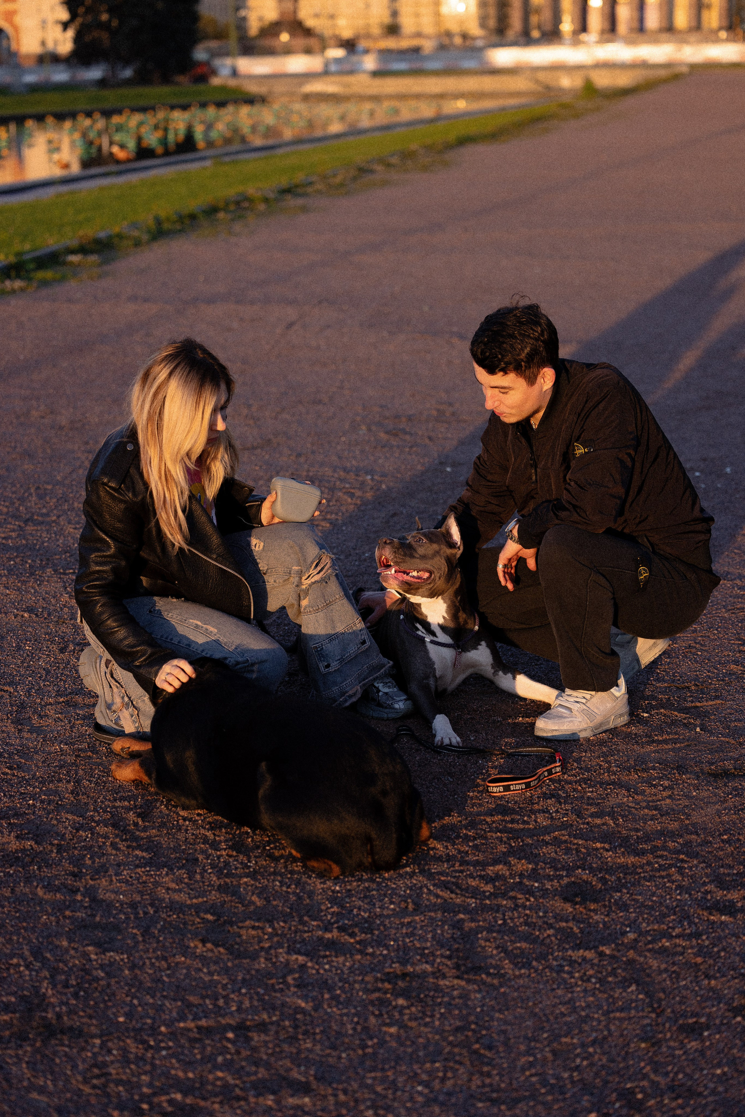 Катя, Леша, Лея и Трой. Фотограф и видеограф анималист Аганина Дарья