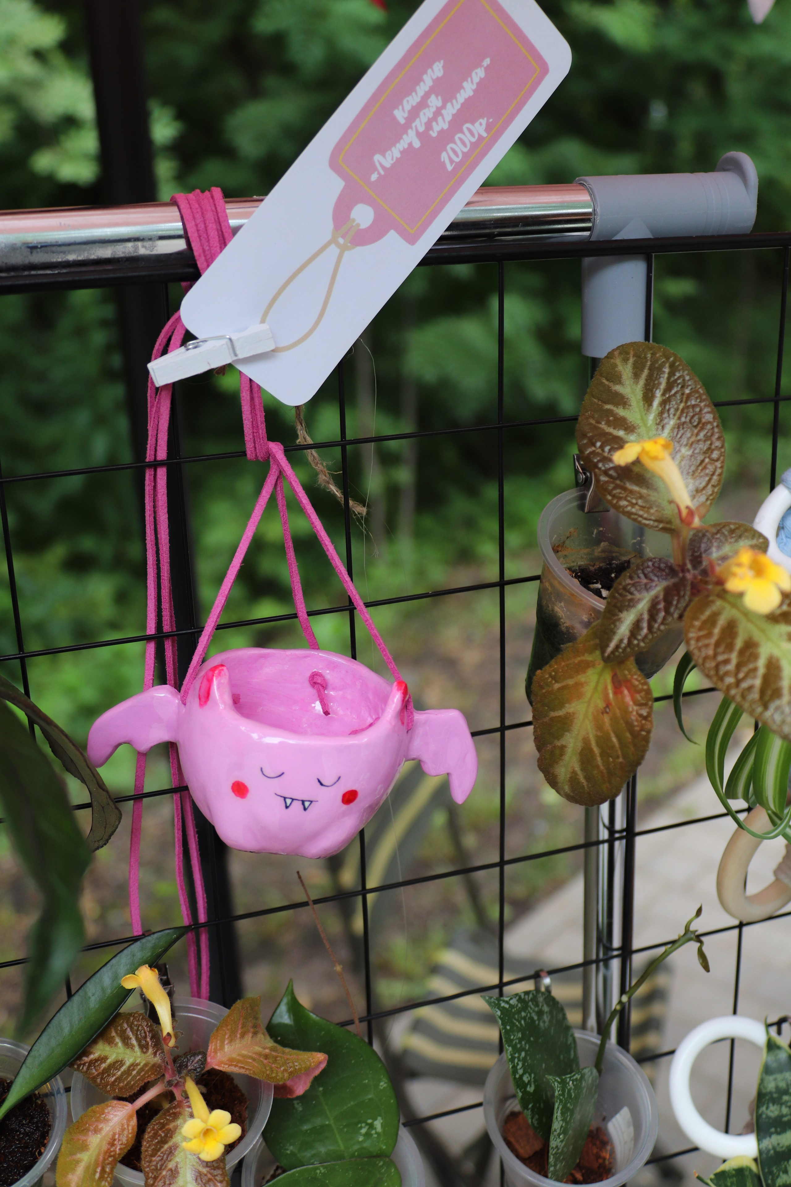 Репортажная съемка. Фотограф в г. Барнаул Нина Чепрасова