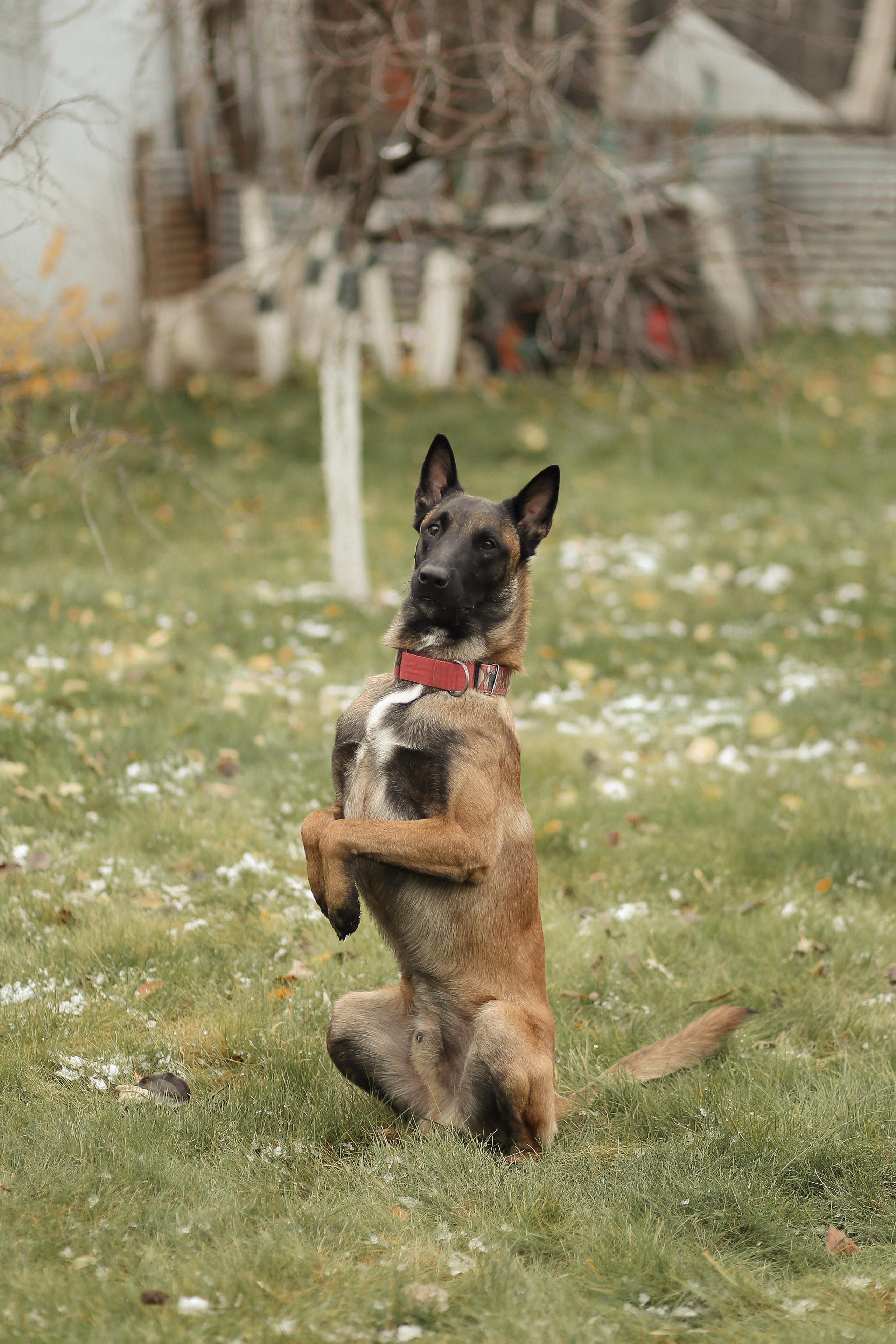 Сим и Компания. Антонина Морозова, профессиональный семейный фотограф видеограф