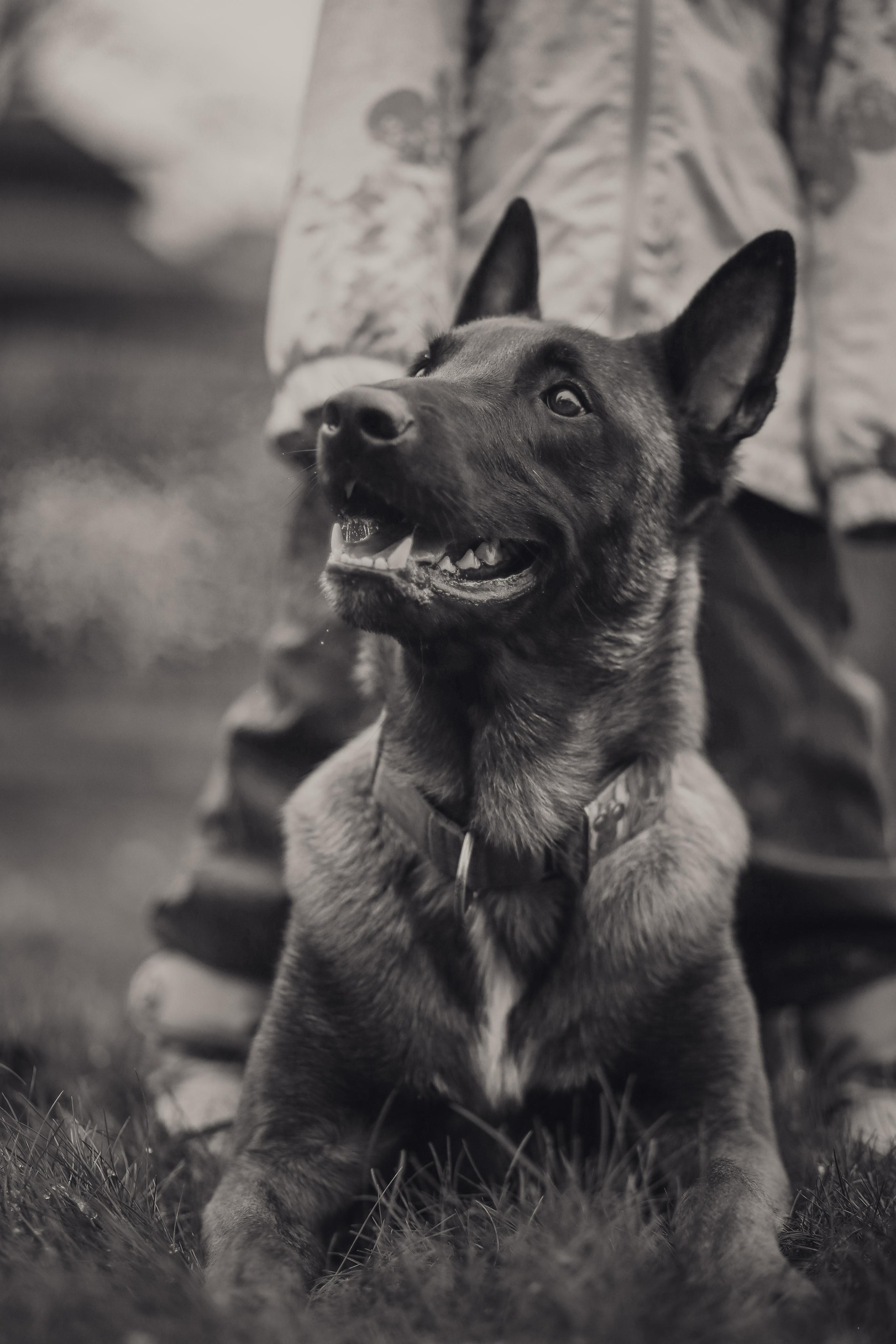Сим и Компания. Антонина Морозова, профессиональный семейный фотограф видеограф