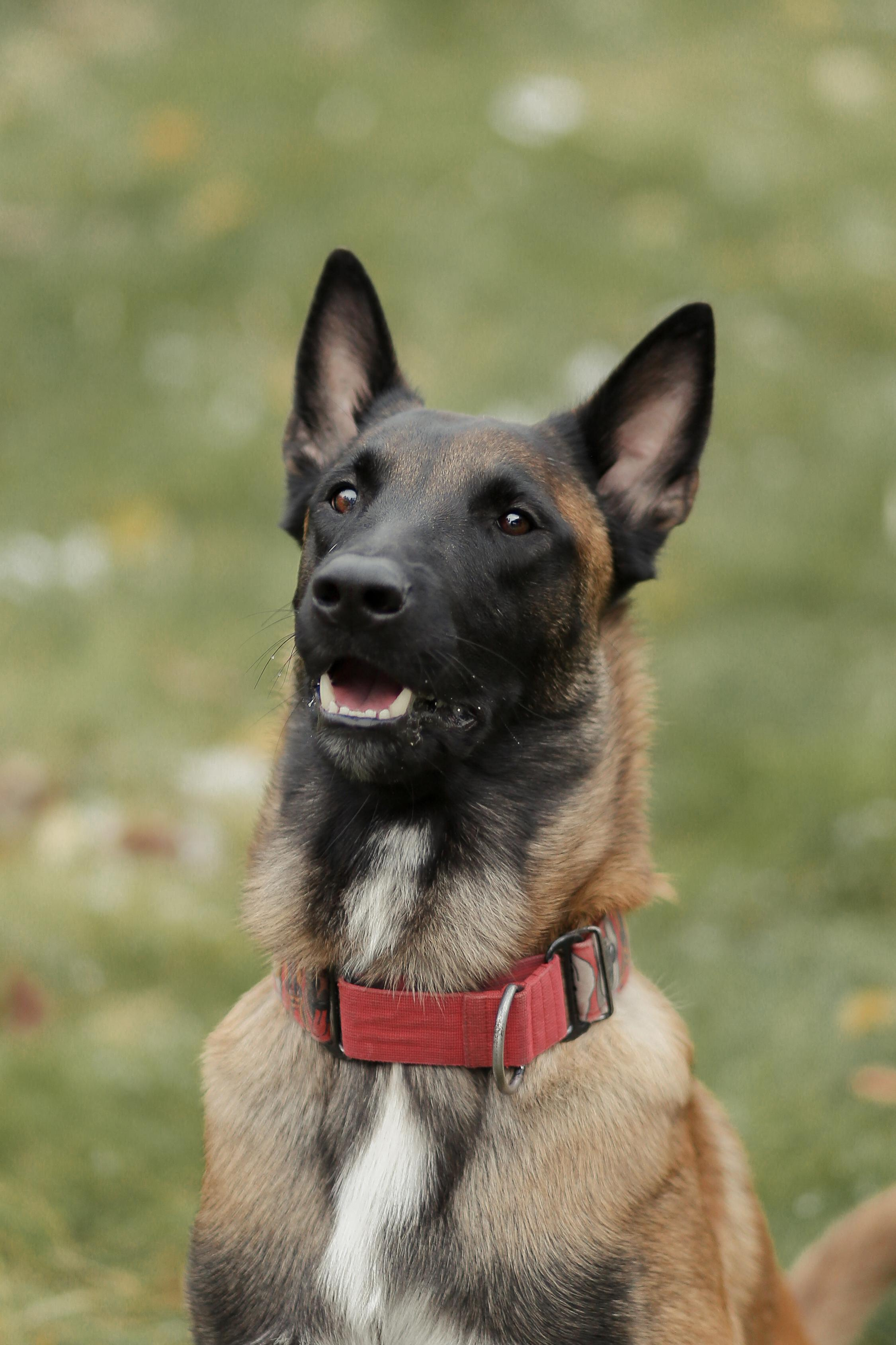 Сим и Компания. Антонина Морозова, профессиональный семейный фотограф видеограф
