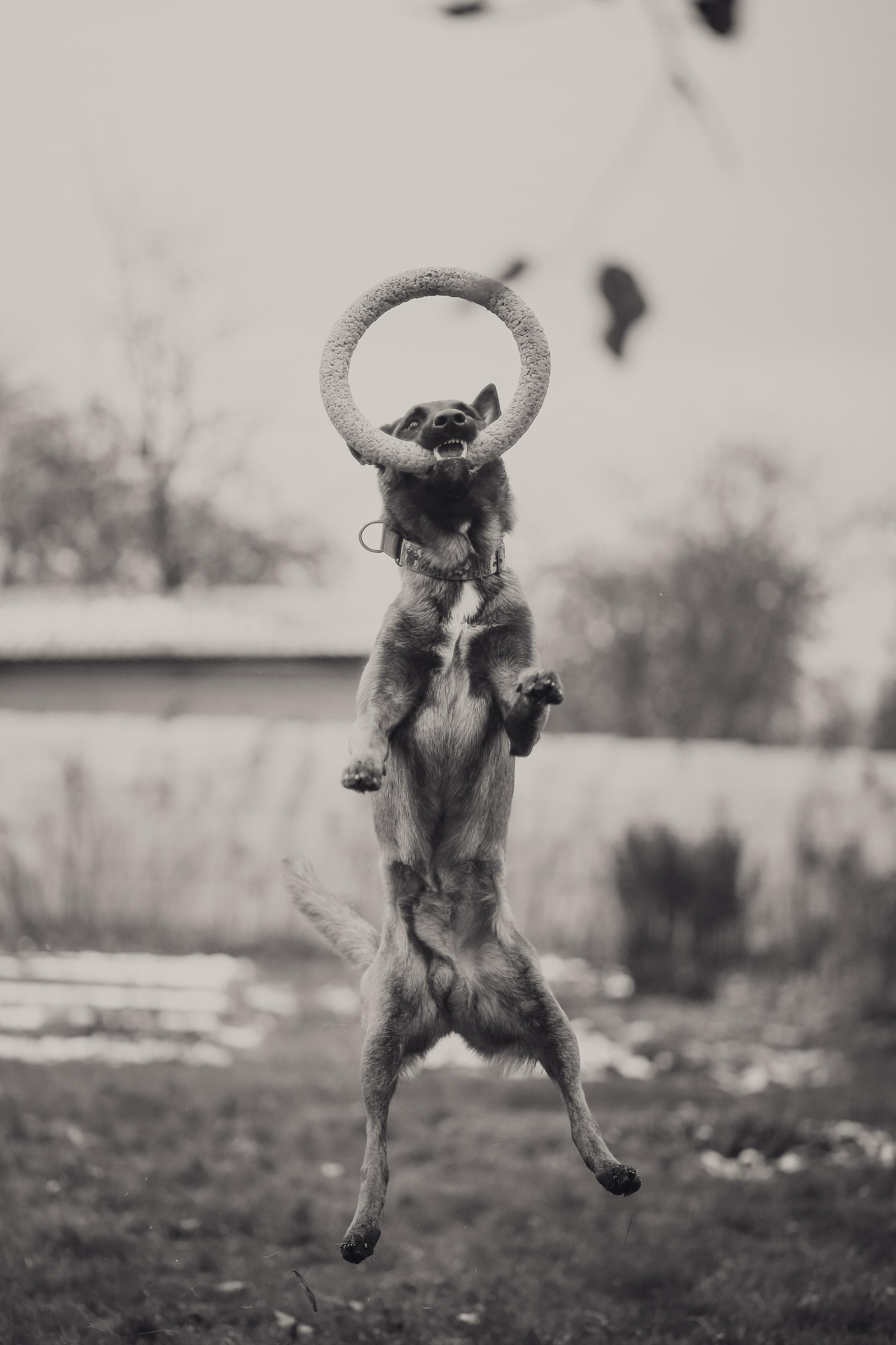 Сим и Компания. Антонина Морозова, профессиональный семейный фотограф видеограф