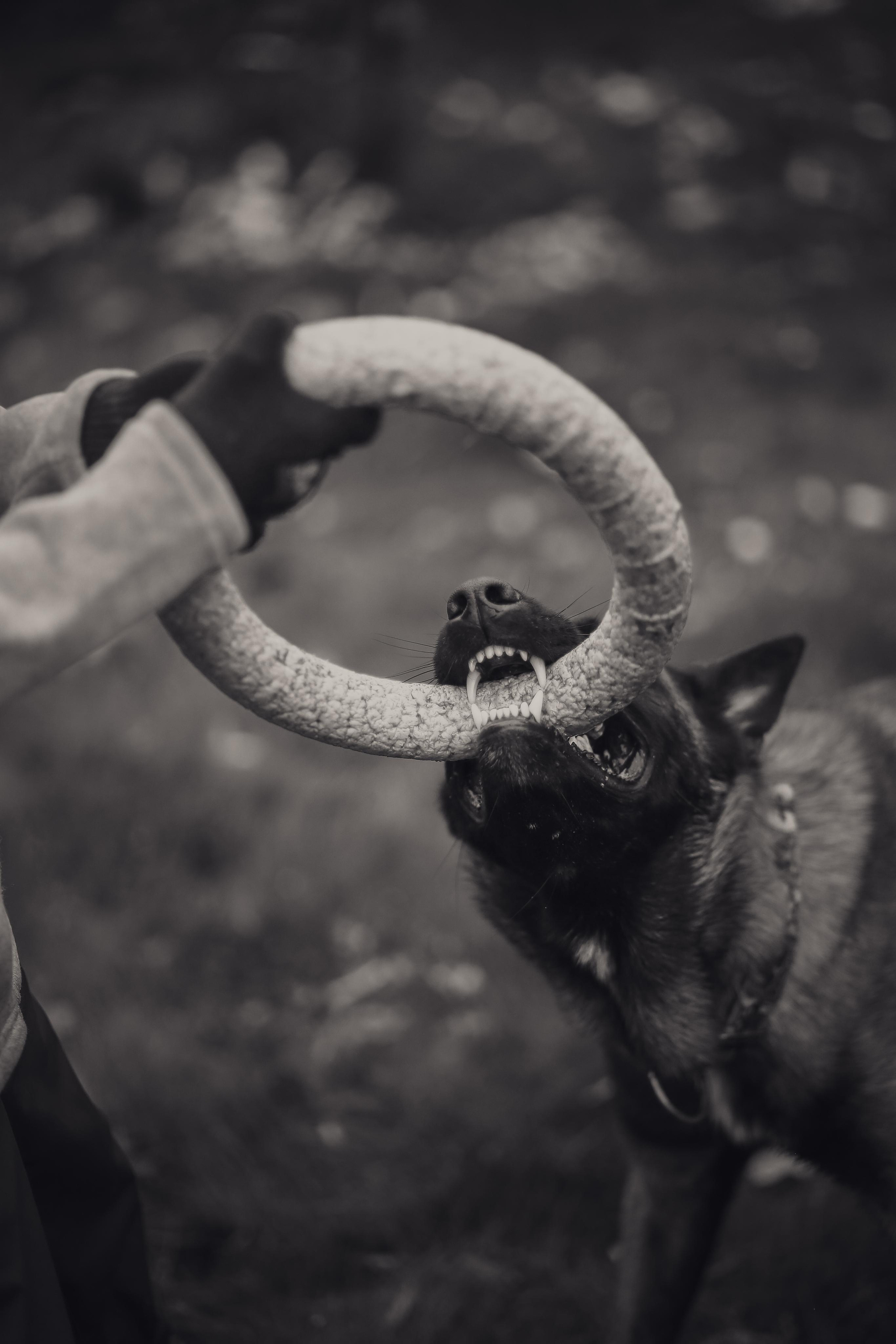 Сим и Компания. Антонина Морозова, профессиональный семейный фотограф видеограф