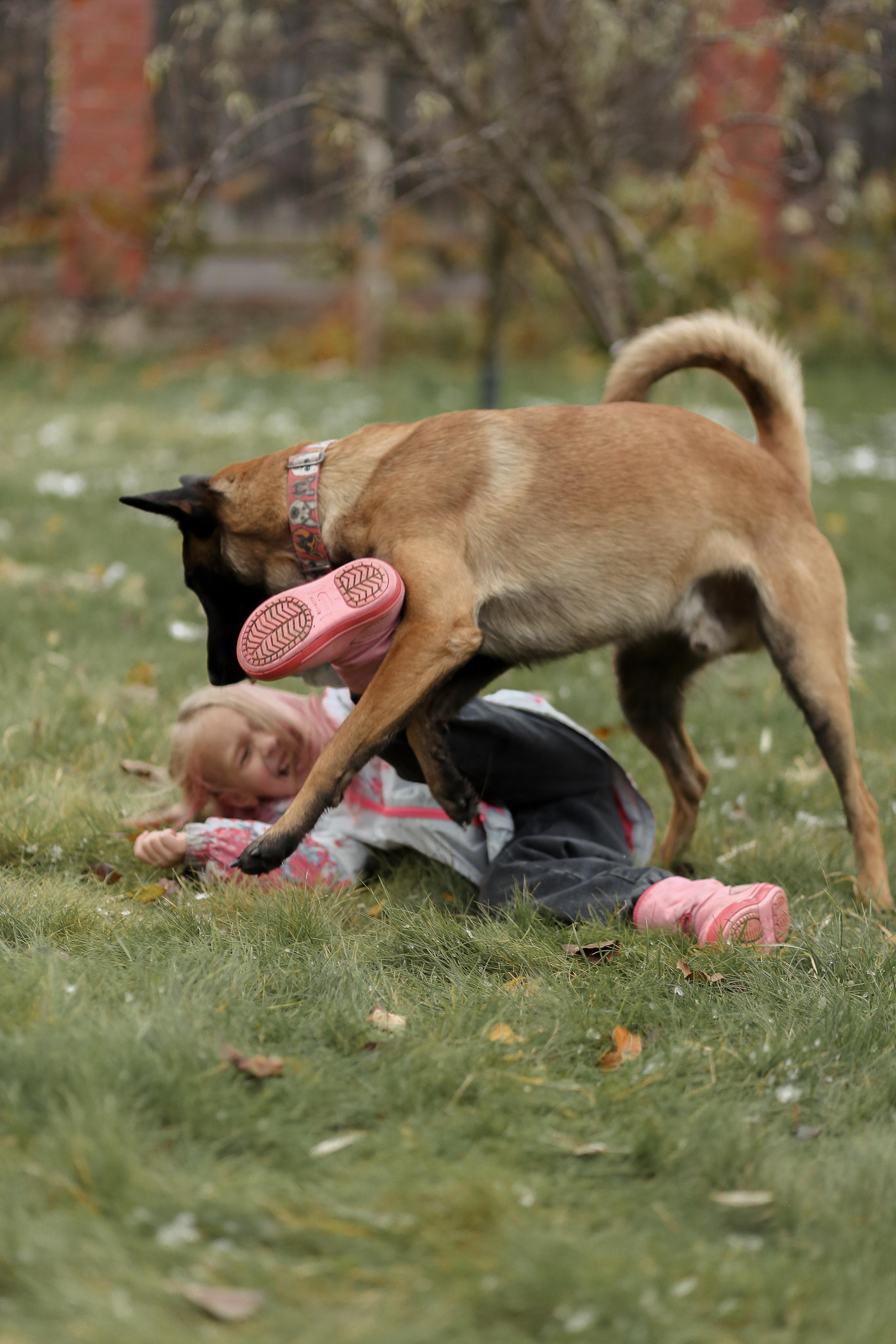Сим и Компания. Антонина Морозова, профессиональный семейный фотограф видеограф