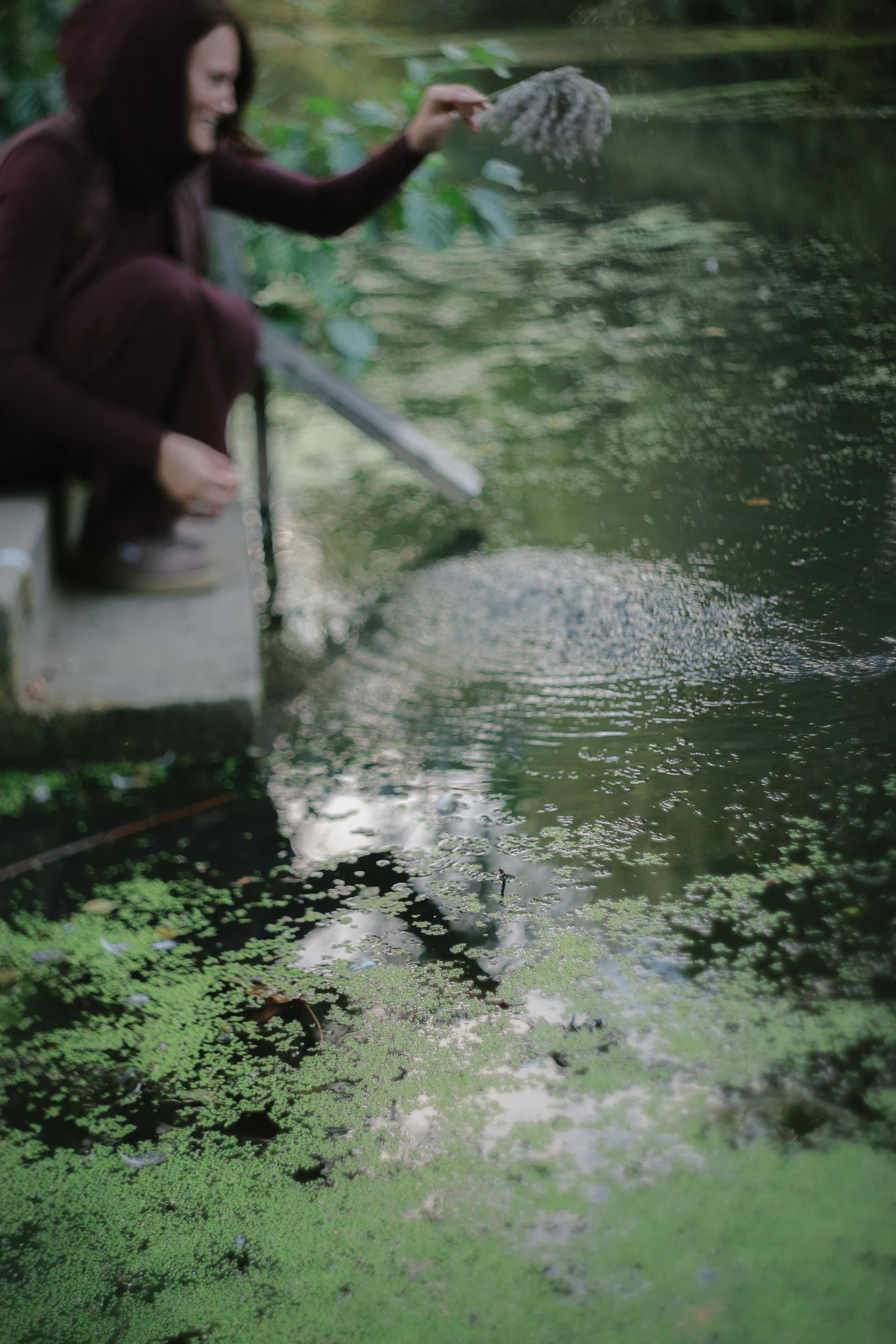 Полина. Антонина Морозова, профессиональный семейный фотограф видеограф