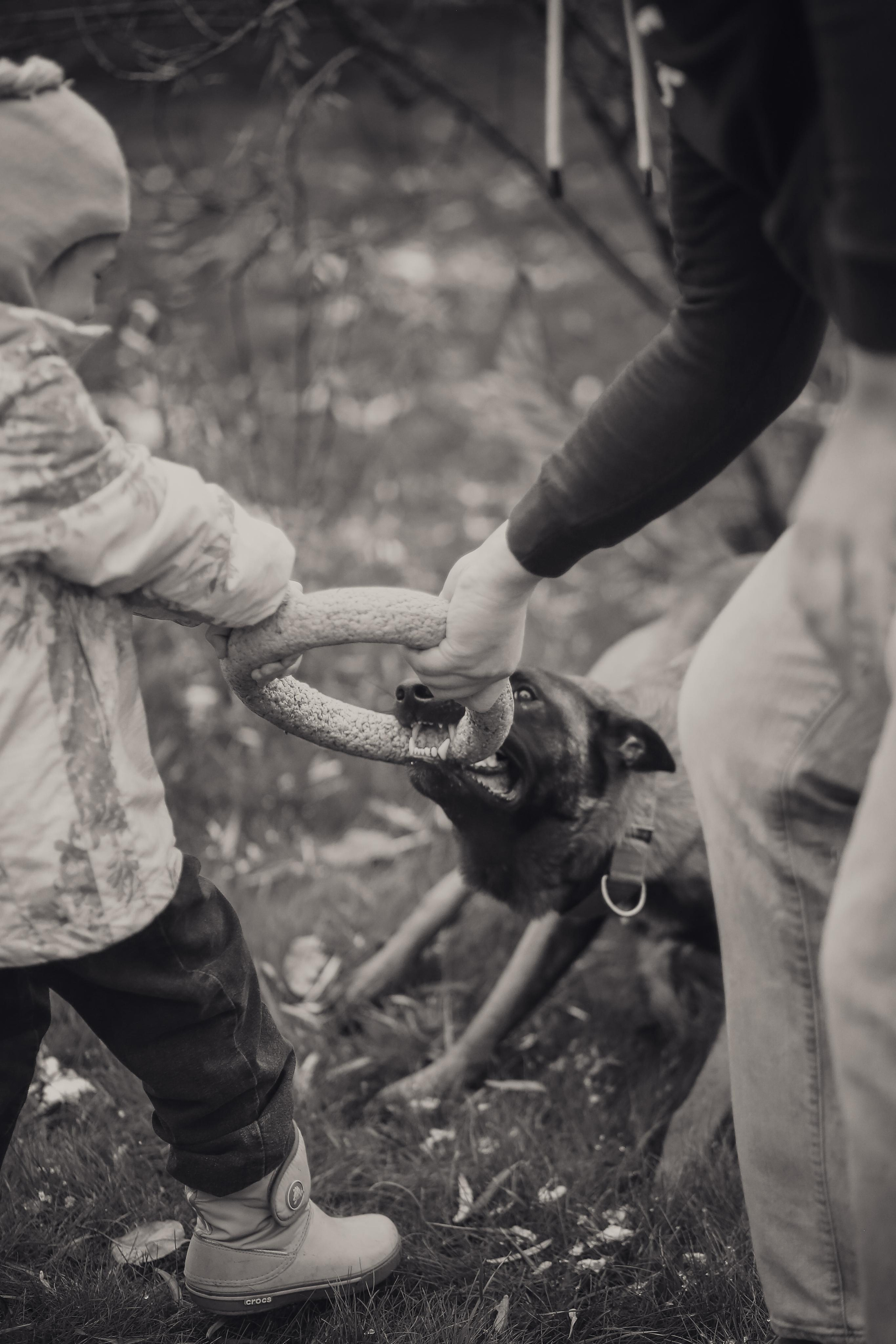 Сим и Компания. Антонина Морозова, профессиональный семейный фотограф видеограф
