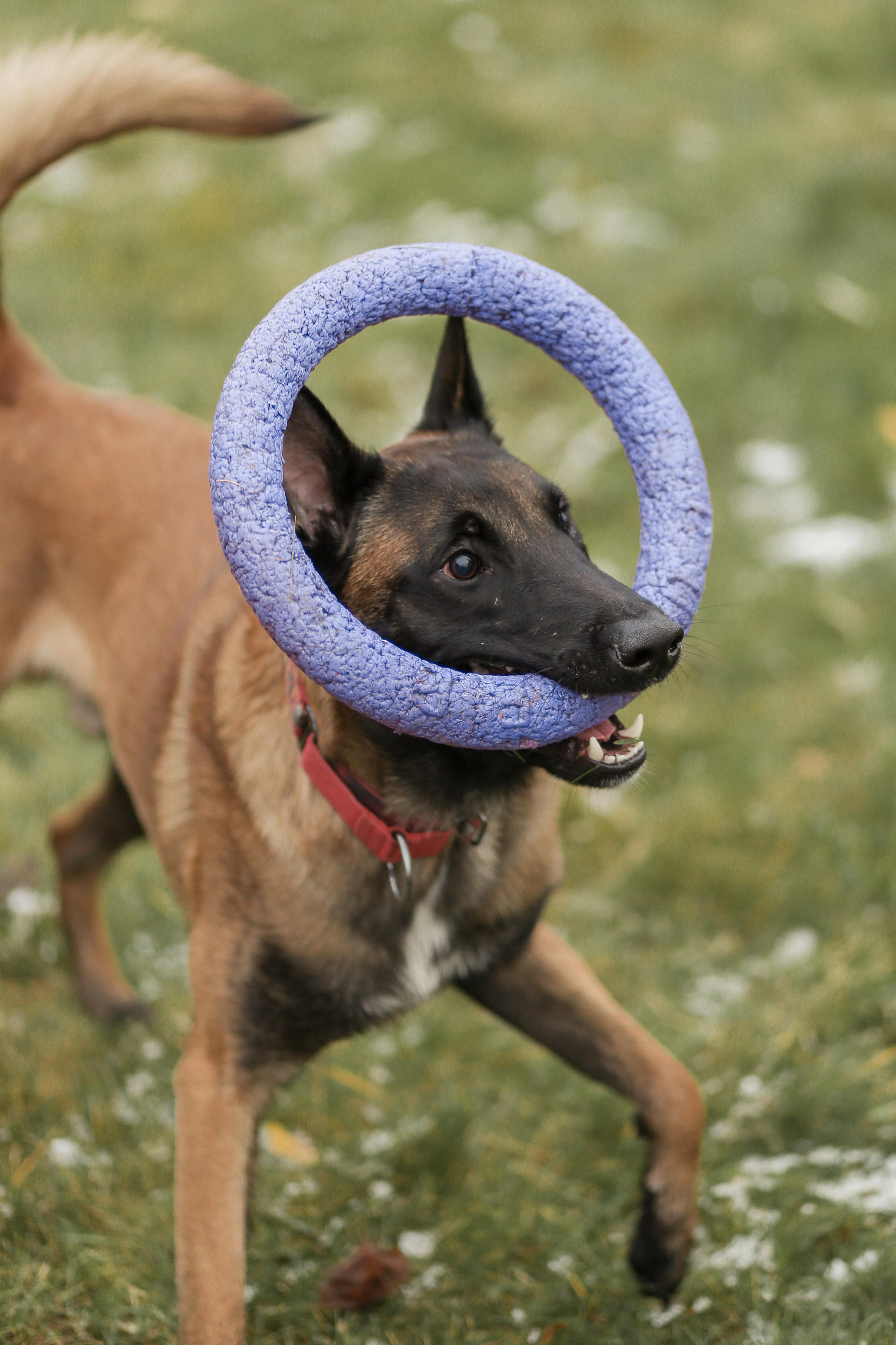 Сим и Компания. Антонина Морозова, профессиональный семейный фотограф видеограф