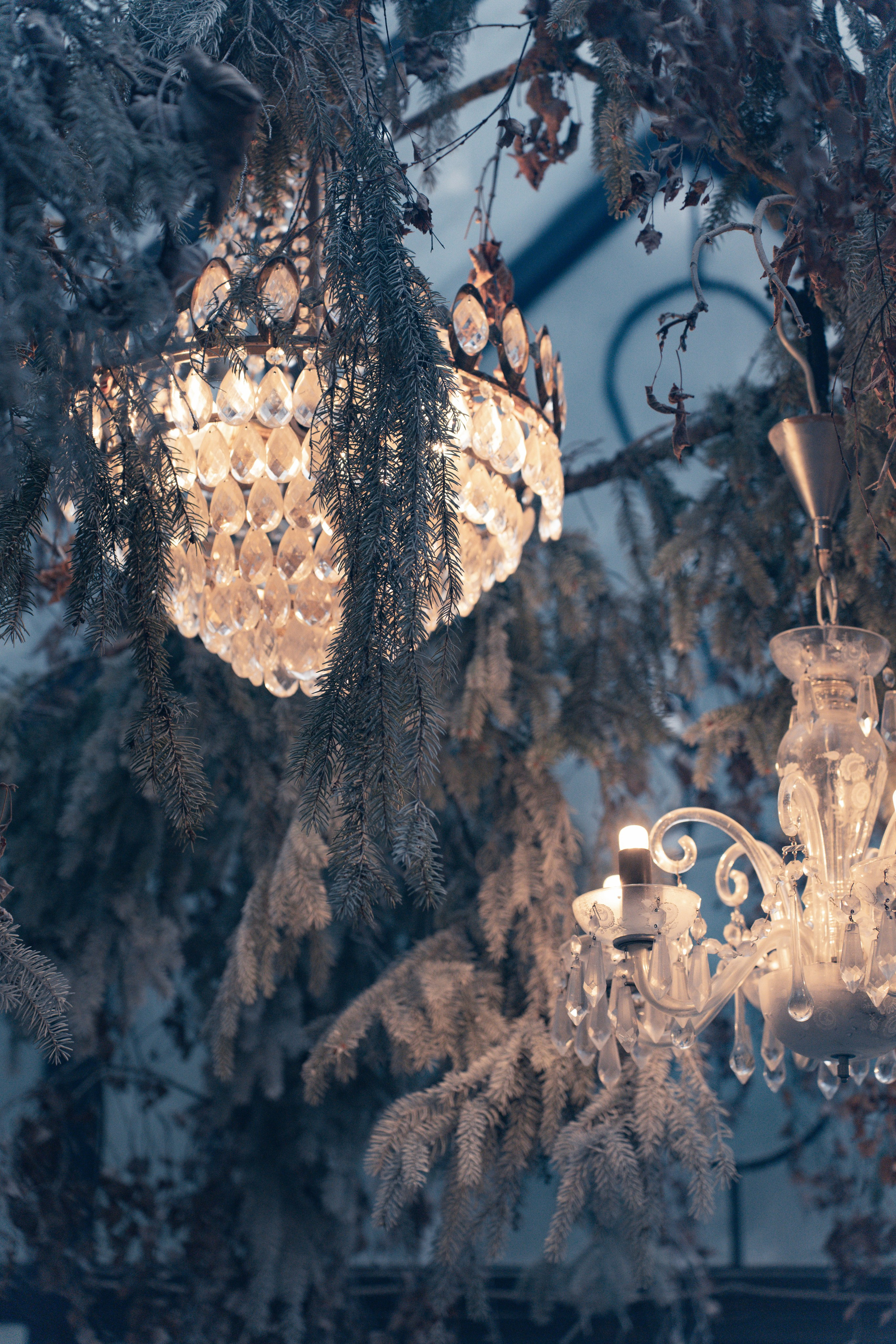 WinterDreams. Безрукова Юлия Art | EVENT Фотограф Москва