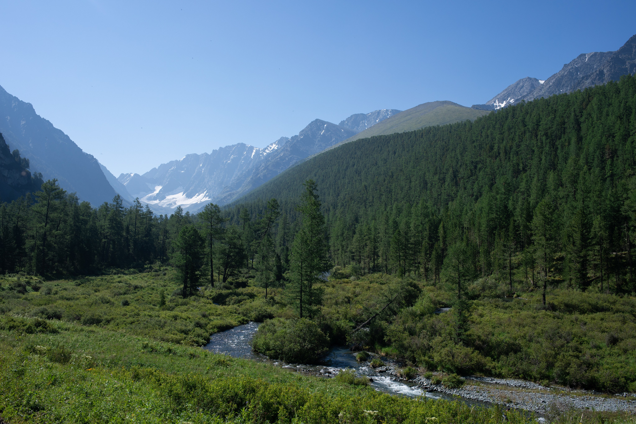 Altai. Yulia Tsyganova
