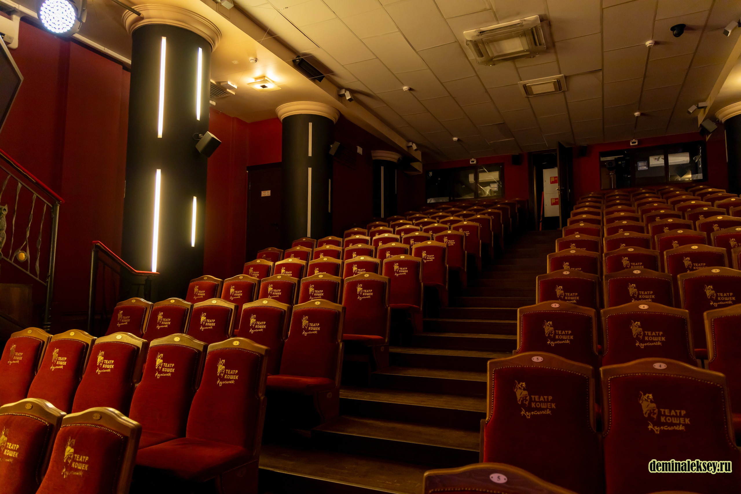 Театр кошек Куклачева 26 февраля 2025. Репортажный, семейный и студийный фотограф в Москве Демин Алексей