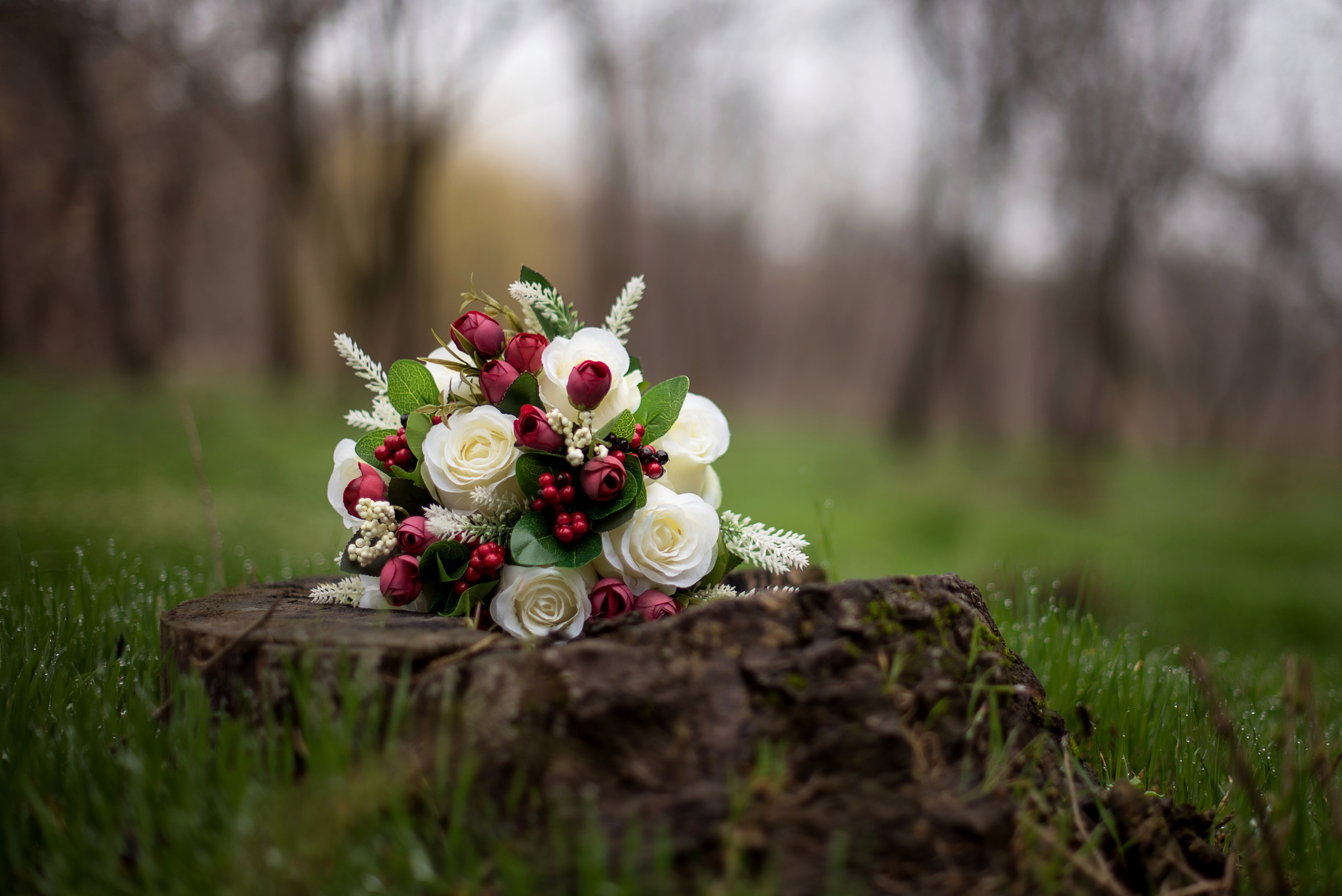 Свадебная фотография. Творческая команда Ульяшевы, свадебная и семейная фотография. Кахахста
