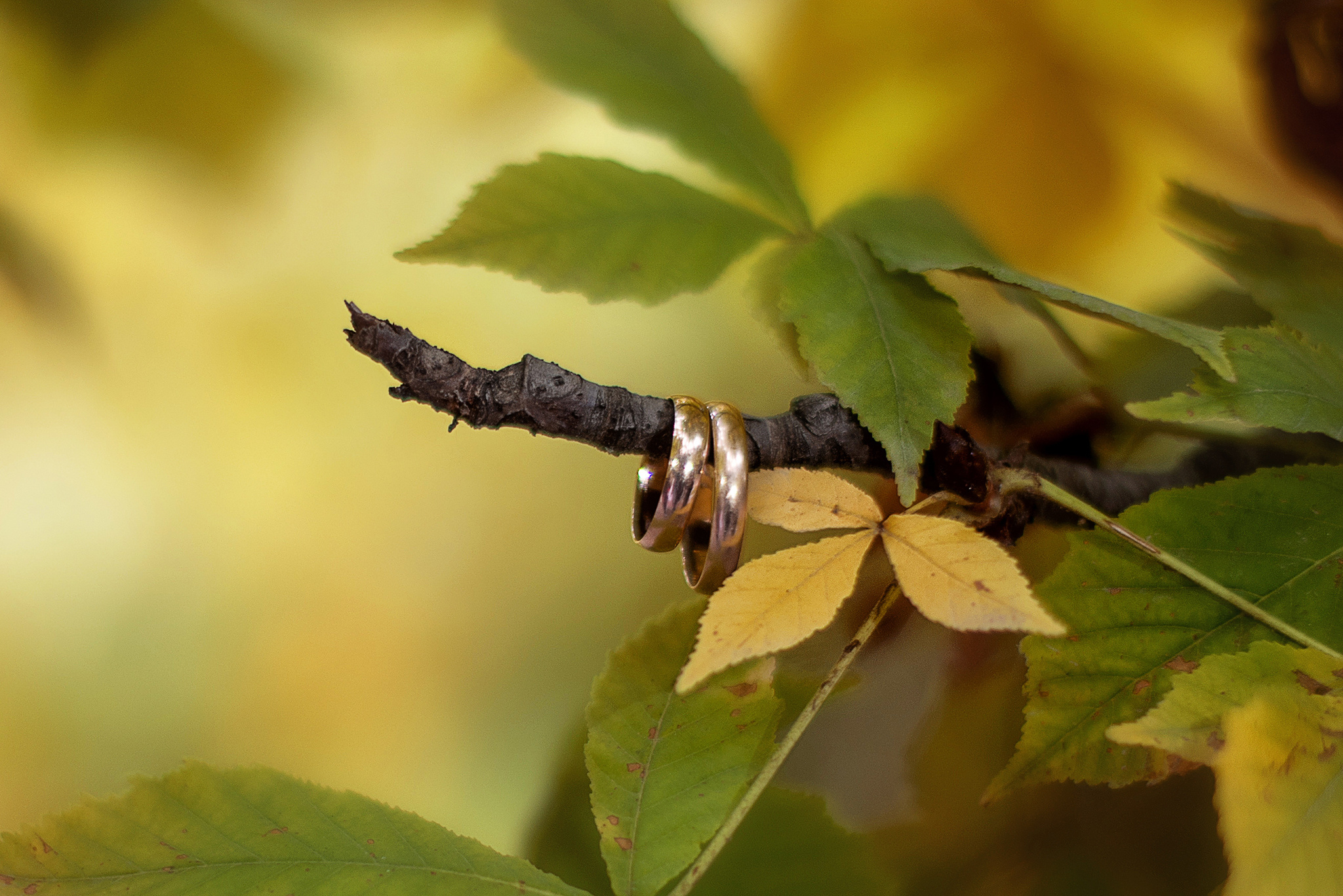 Свадебная фотография. Творческая команда Ульяшевы, свадебная и семейная фотография. Кахахста