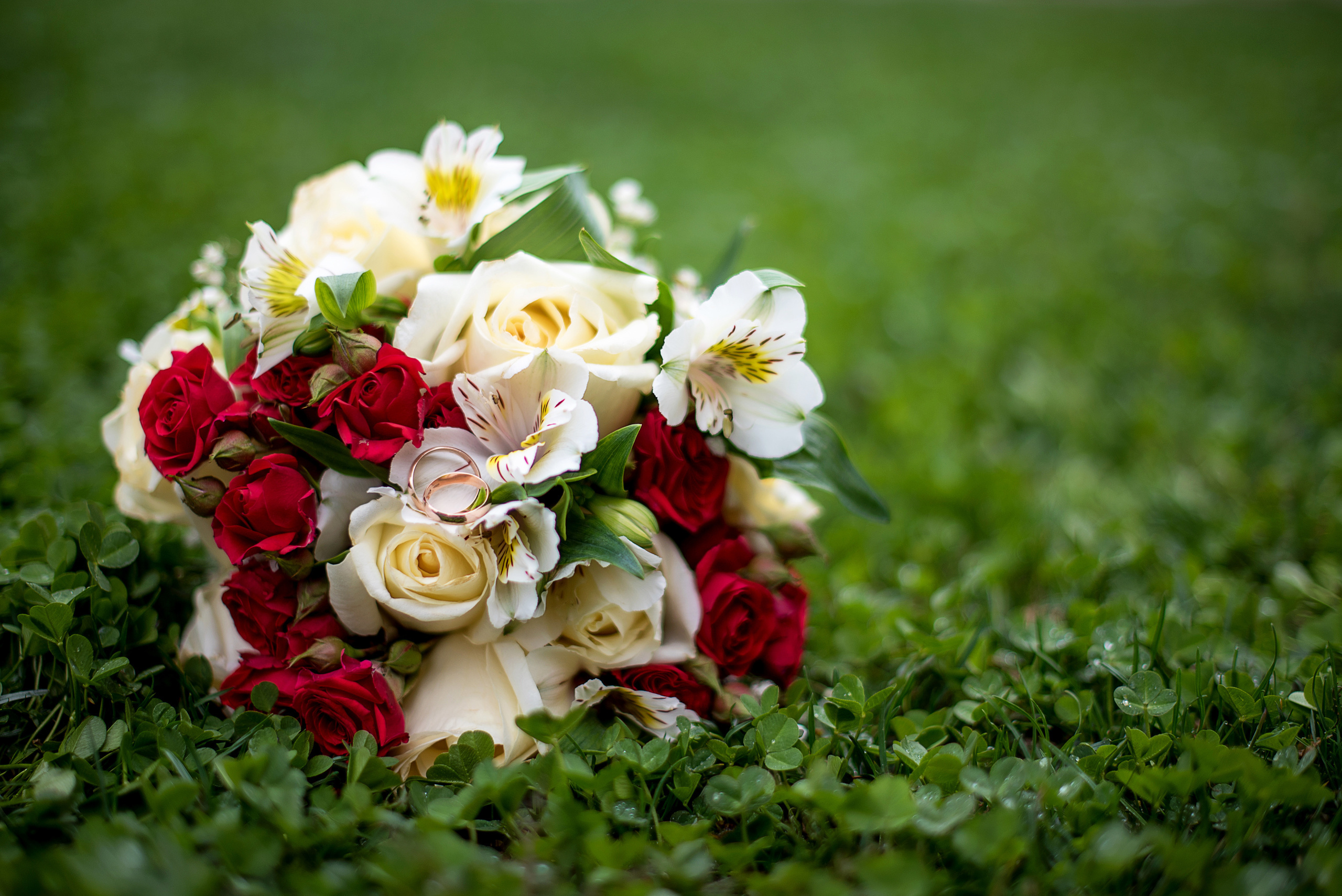 Свадебная фотография. Творческая команда Ульяшевы, свадебная и семейная фотография. Кахахста