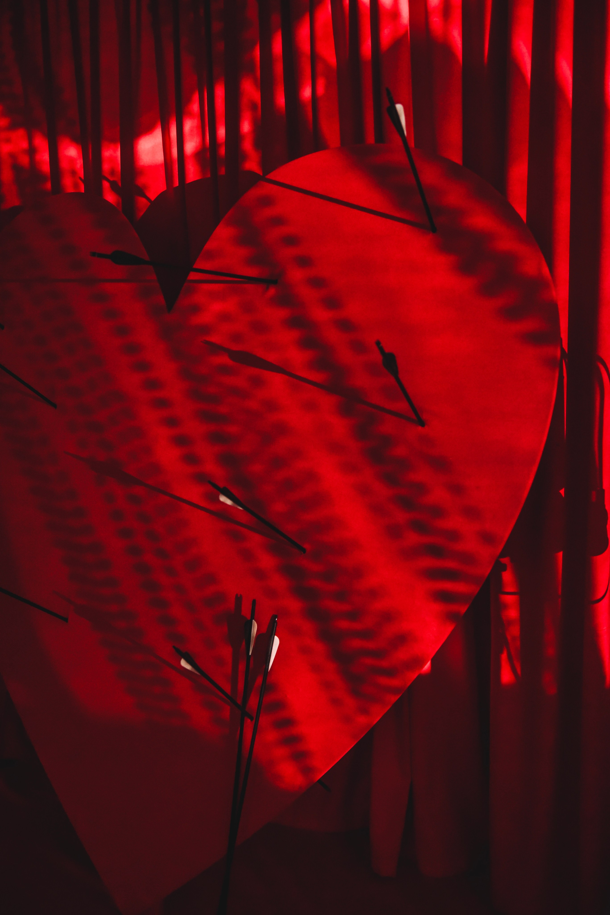 Зал ART. Фотостудия Элис