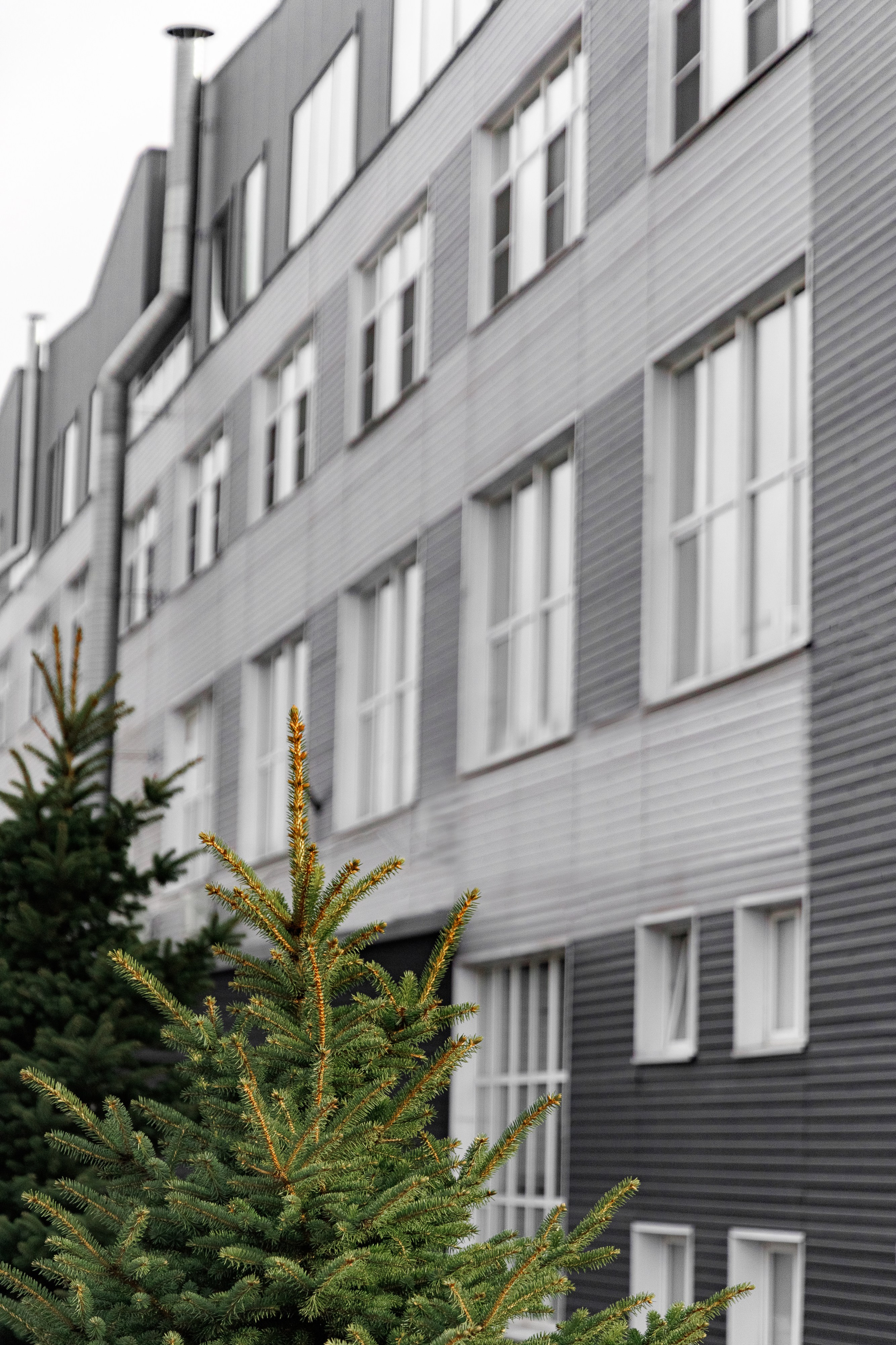 Архитектура бизнес-пространства «Фабрика 6». Интерьерный, предметный фуд-фотограф в Нижнем Новгороде Наталья Латыпова