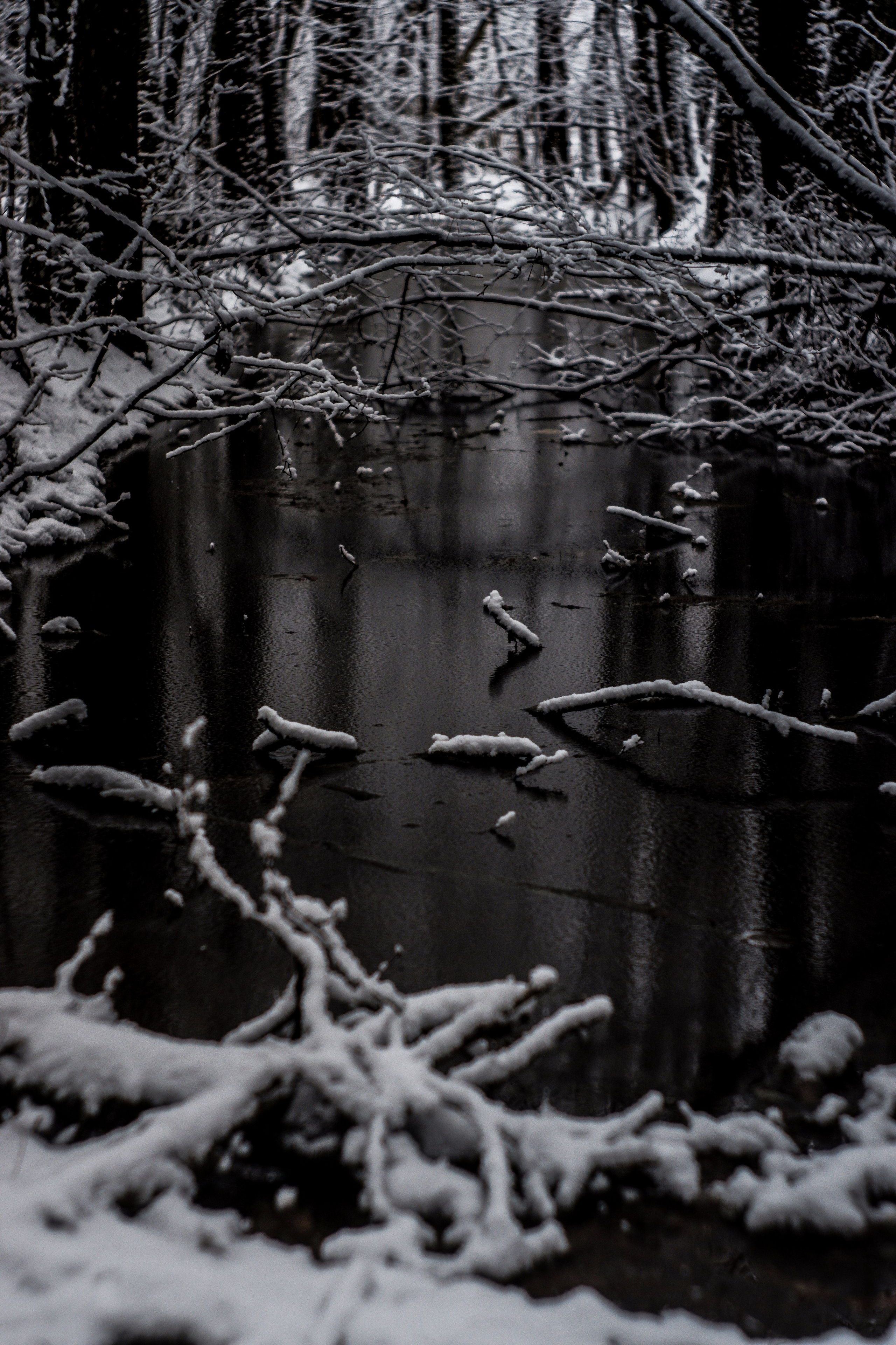 ЧБ  пейзажи (BnW landscape). Фотограф (photographer) Lischinski Vitaliy