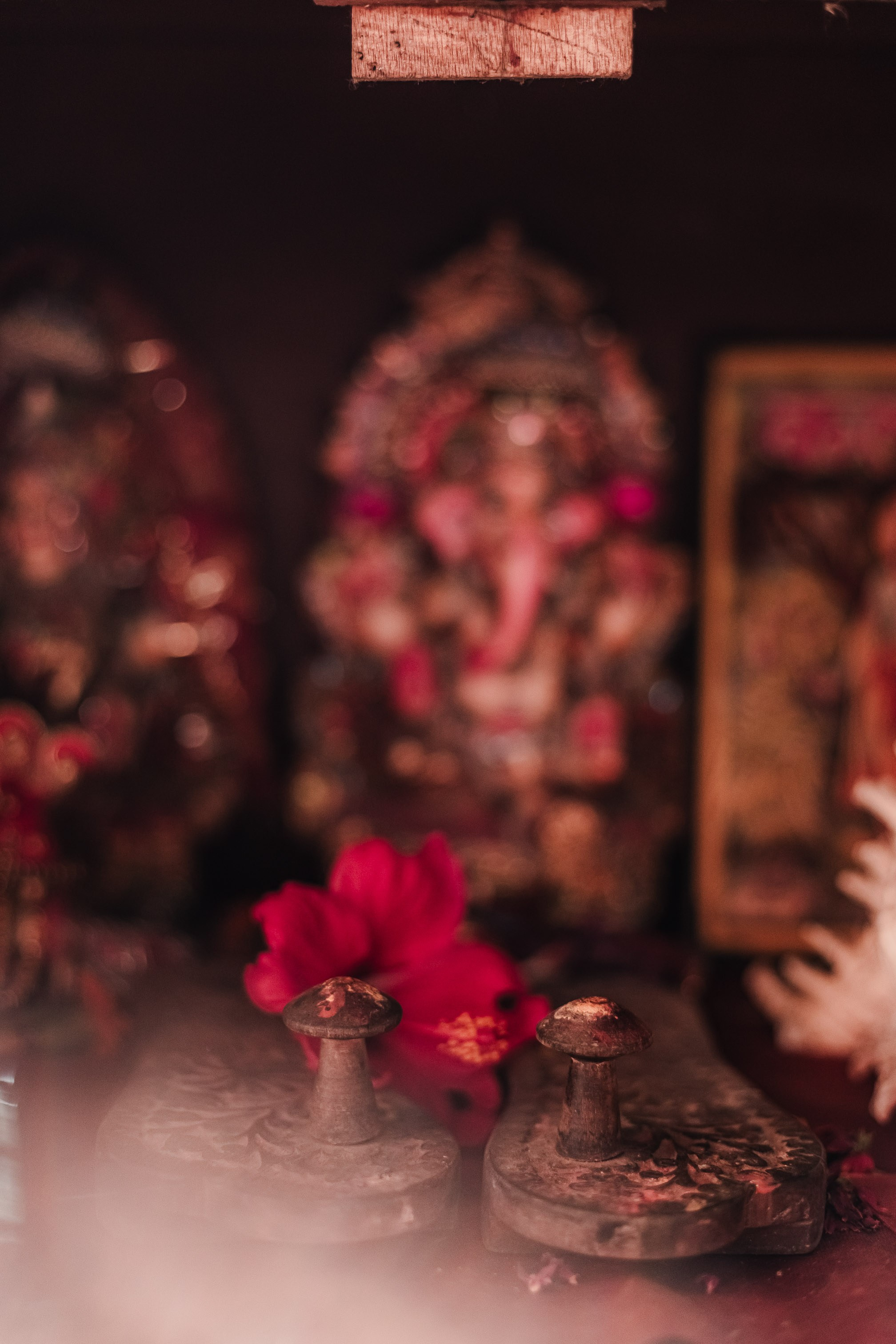 Devraha Baba Ji Ashram in Vrindavan. Мариам Багдасарян