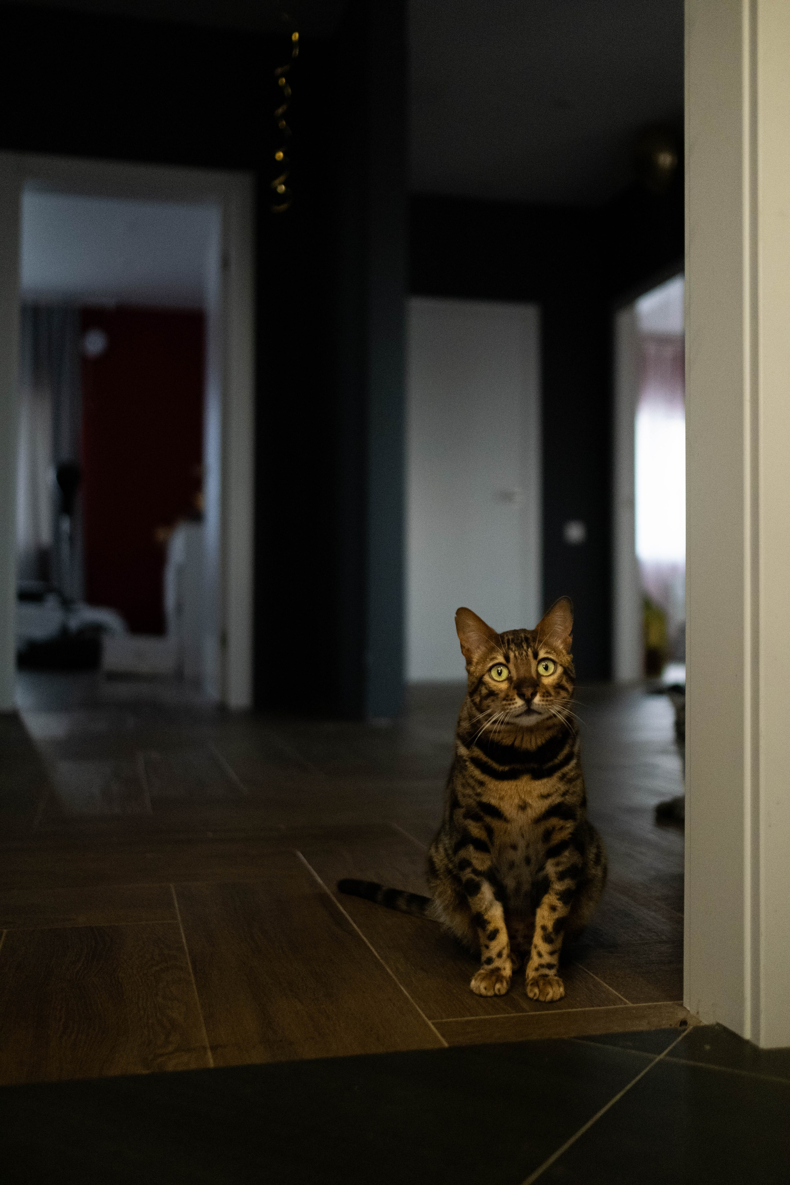 2 года Радиславу!. Семейный фотограф в Санкт-Петербурге Дарья Косянчук