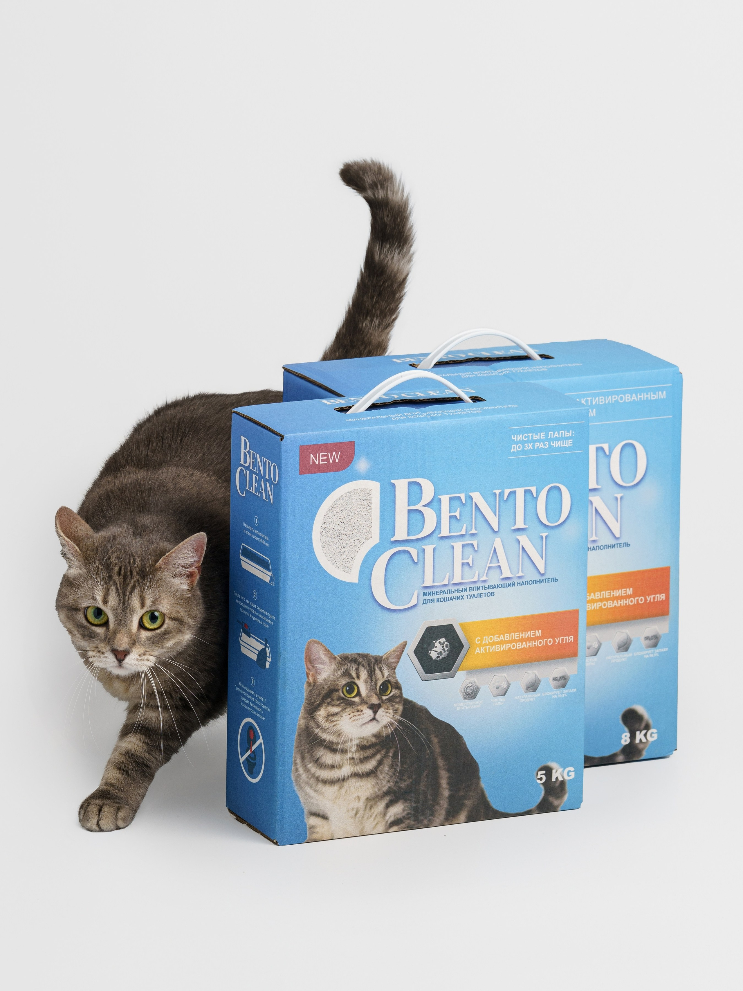 Съемки с животными. КЕД Студия-контент агентство полного цикла СПБ. Создаём фото, видео и контент, который помогает брендам и селлерам продавать больше