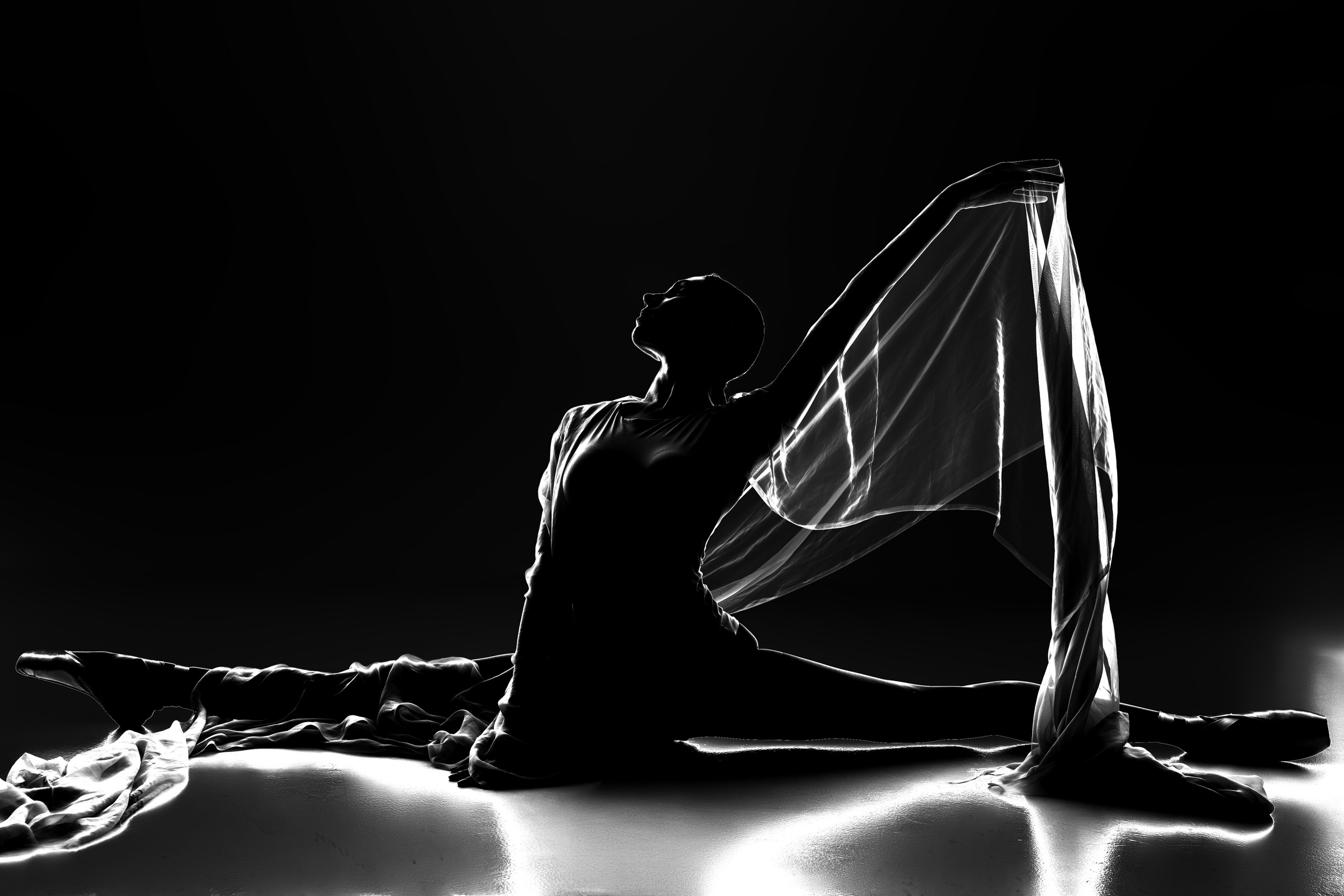 Искусство линии и света