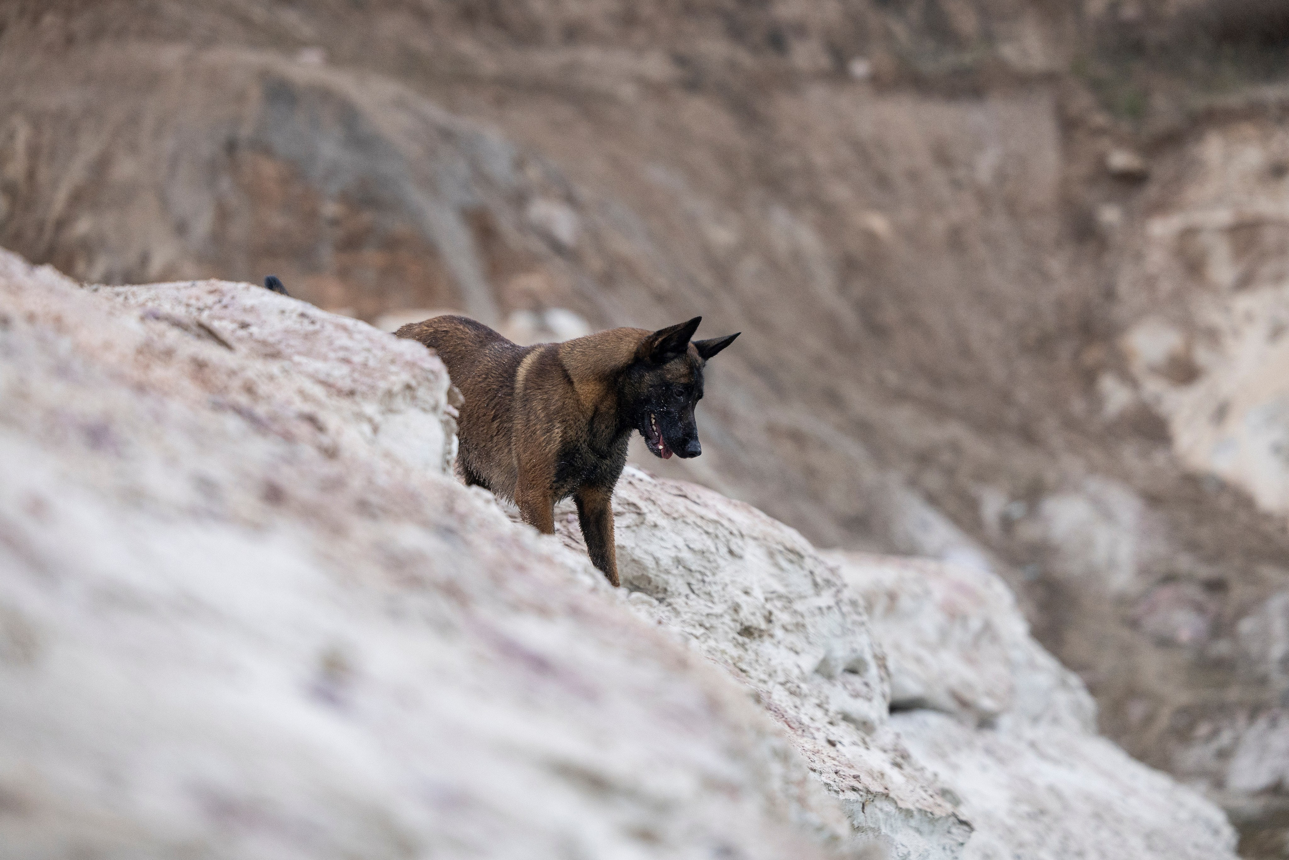 Лужские Мальдивы. Фотограф-анималист Анна Маринич