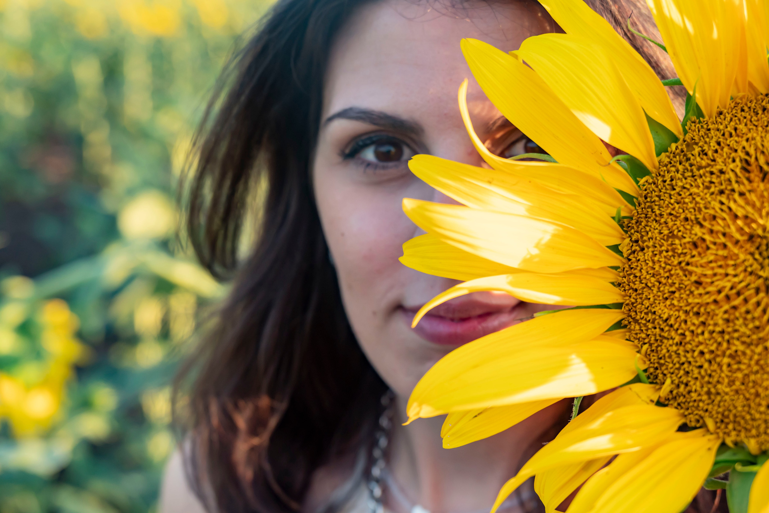 Летняя прогулка. Главная