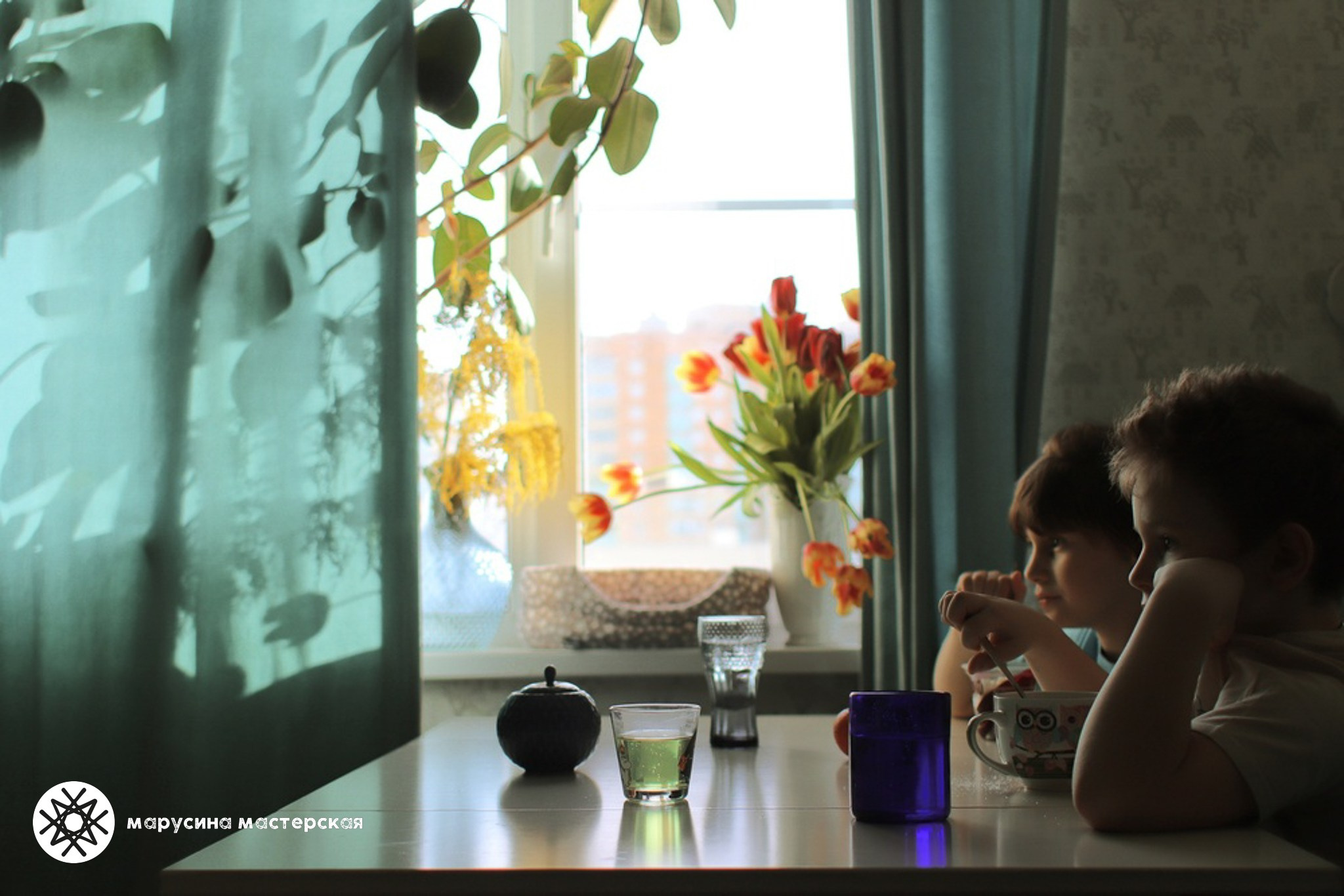 Аня Штейнмиллер