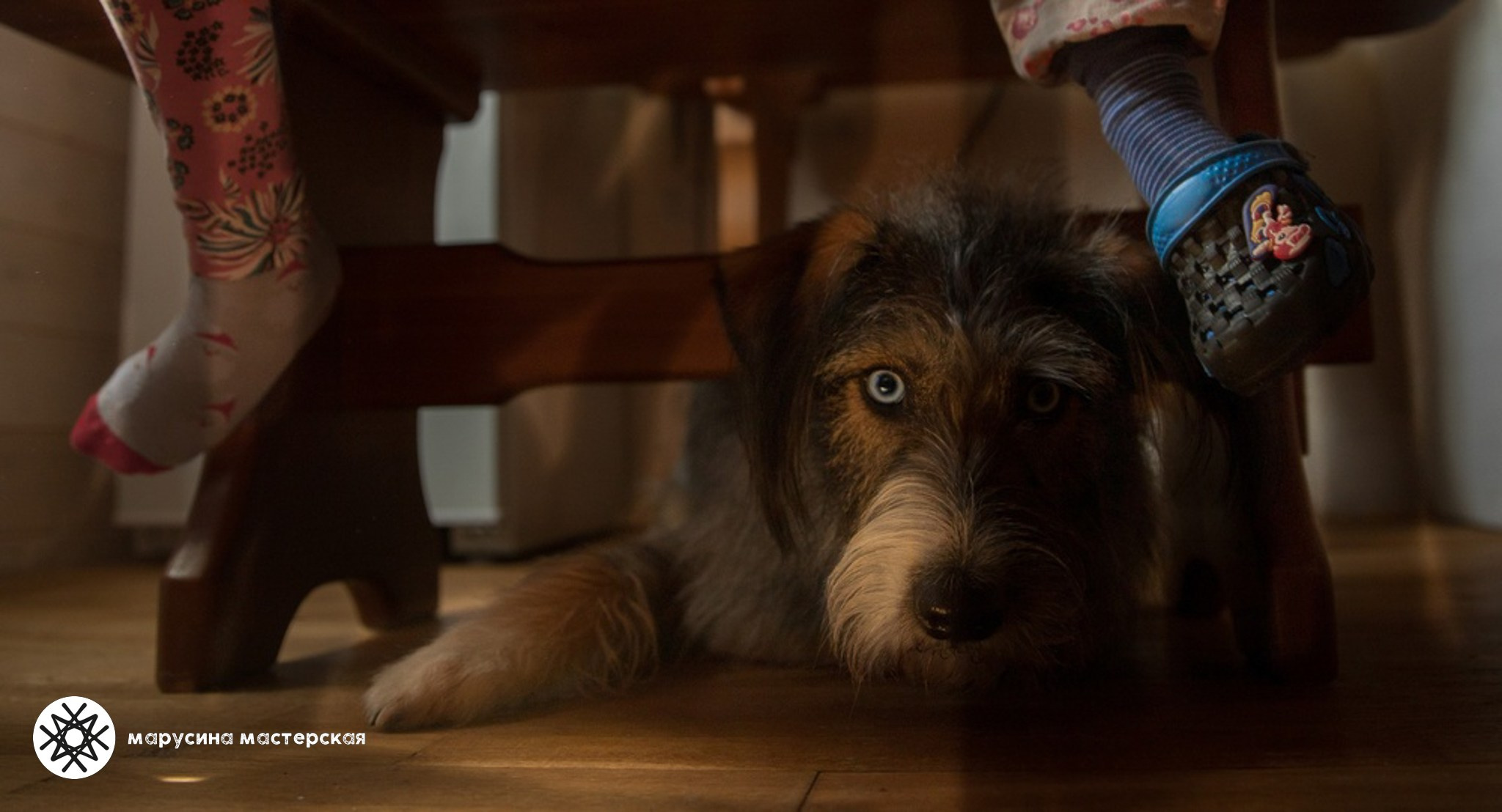 Мария Манышкина