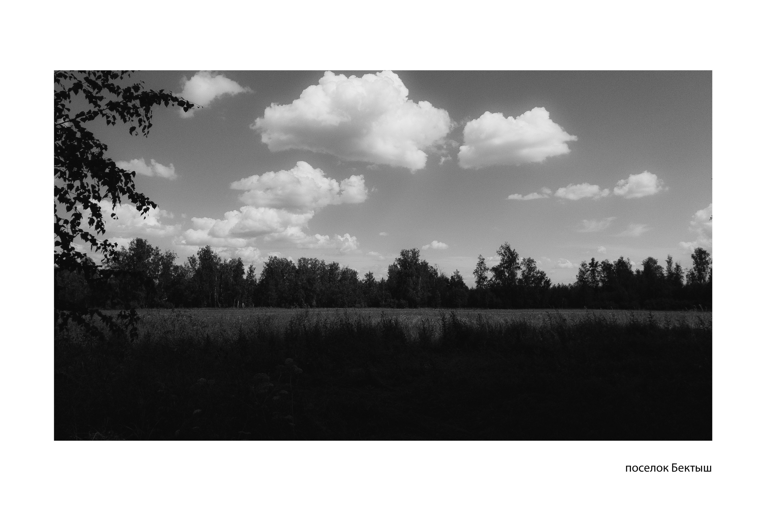 Документальный фотопроект «ЛизаАлерт: вопреки времени». Репортажный фотограф Наталья Лапцевич