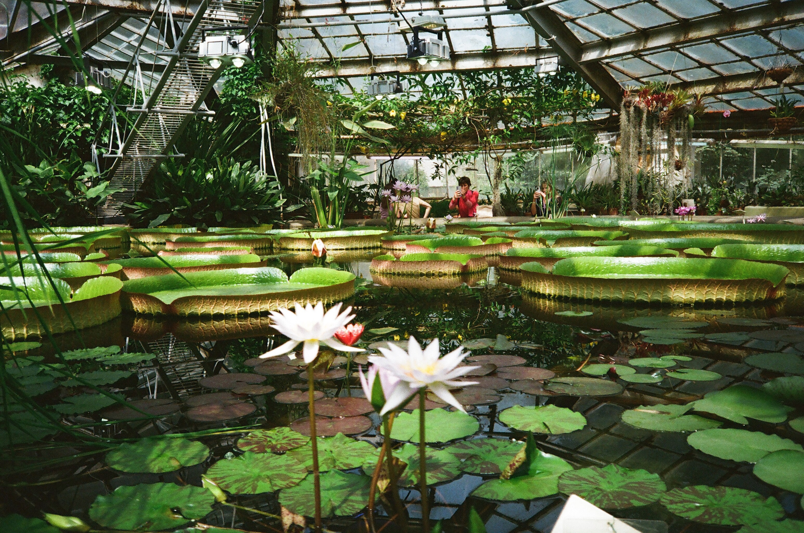 О пленке. Oksan_photo