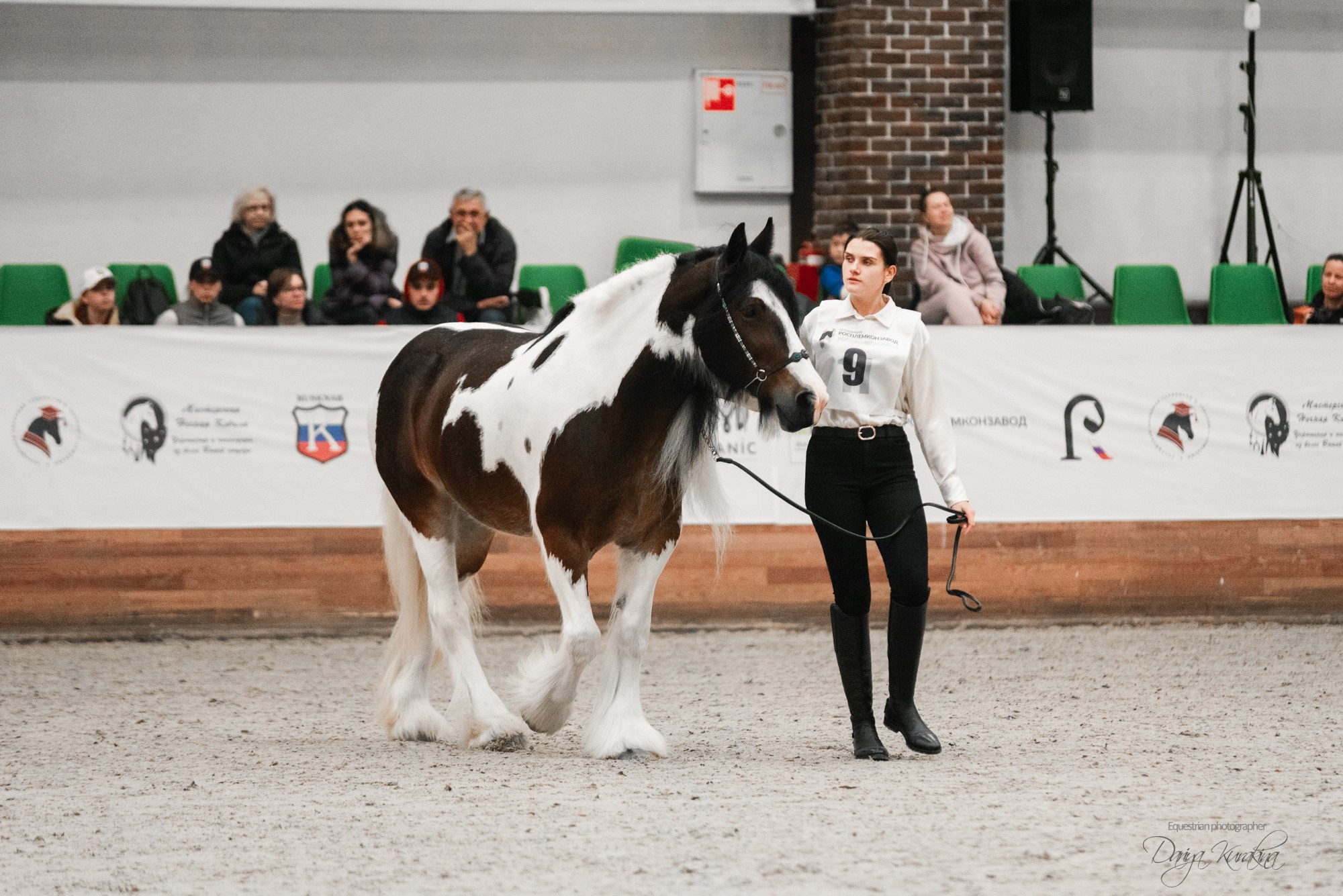 8-я международная выставка Конная Россия. Конный фотограф Куракина Дарья • Фотосессии с лошадьми