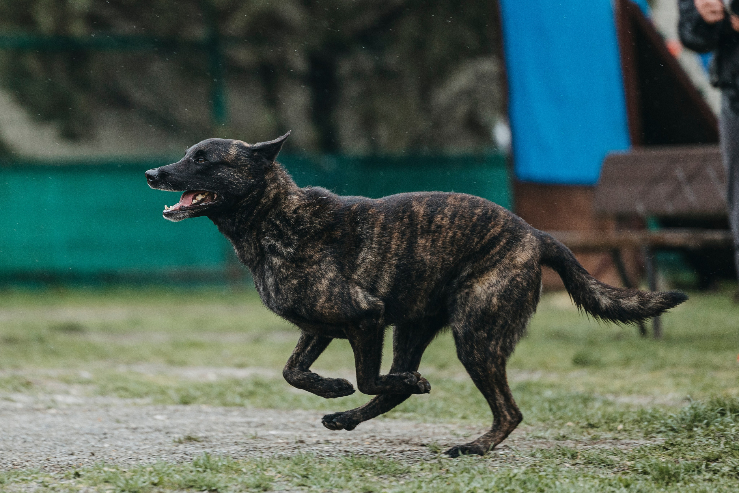 Геленджик Мондьоринг. Фотограф-анималист Анна Маринич