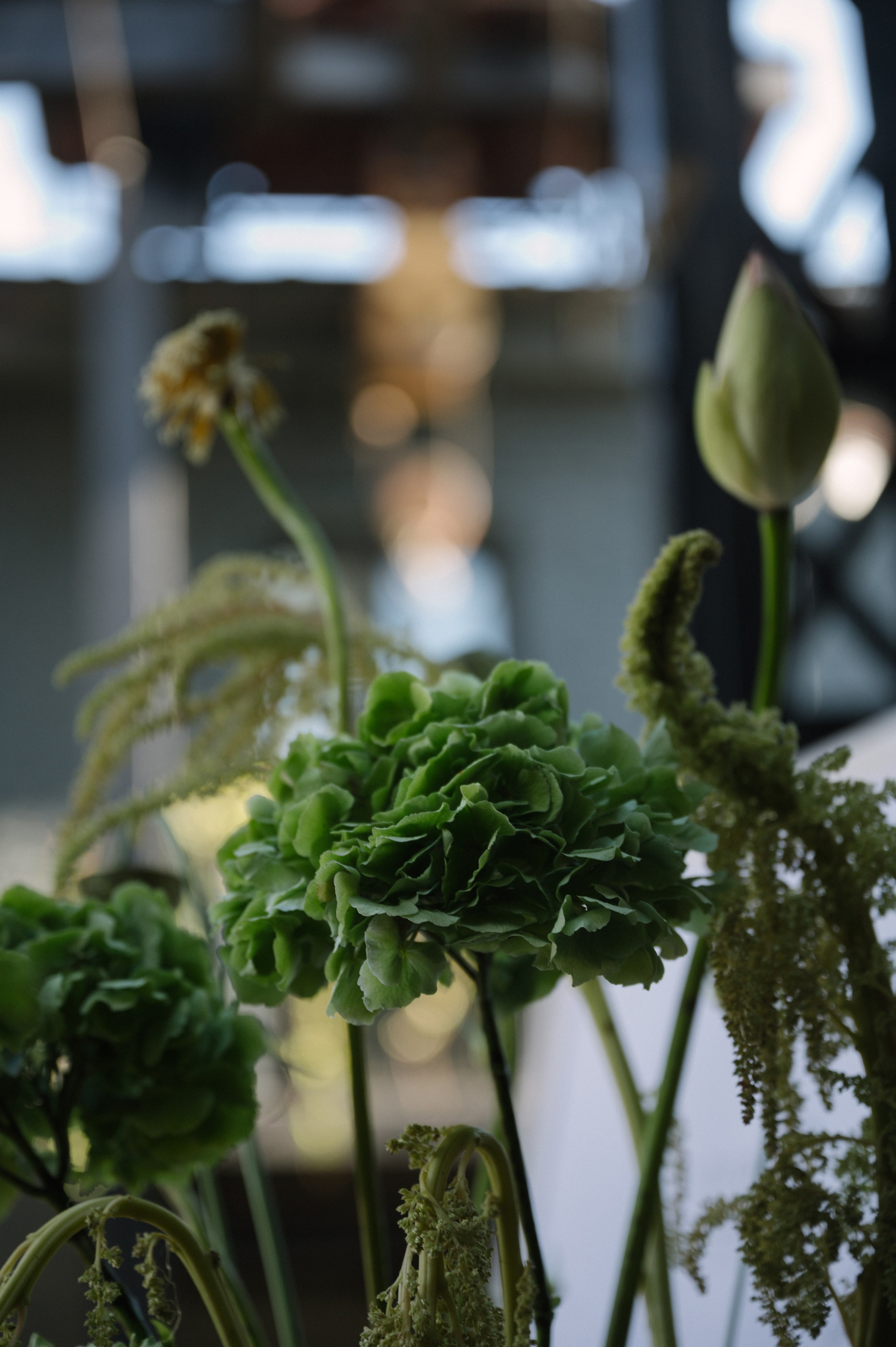 Никита & Катя. Оформление свадеб, декор свадеб Вера Маркова, Москва