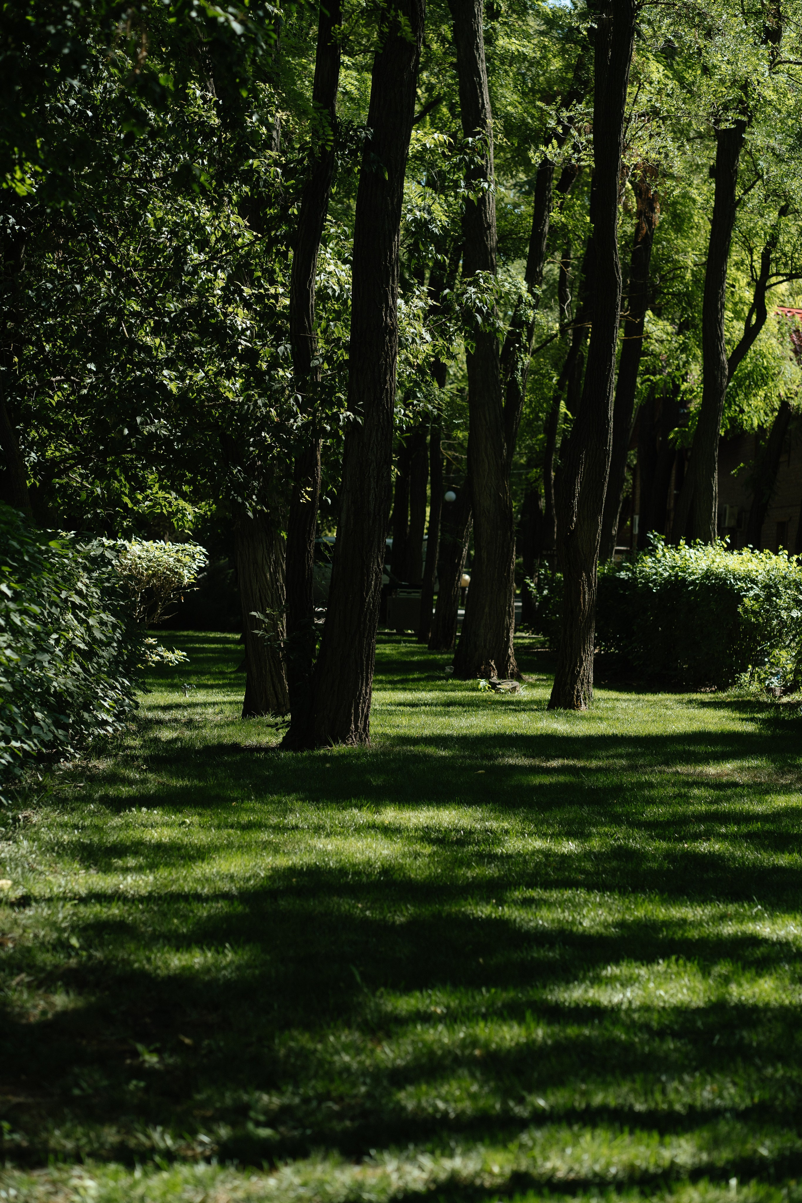 Дмитрий и Екатерина. Свадебный фотограф Ростов-на-Дону