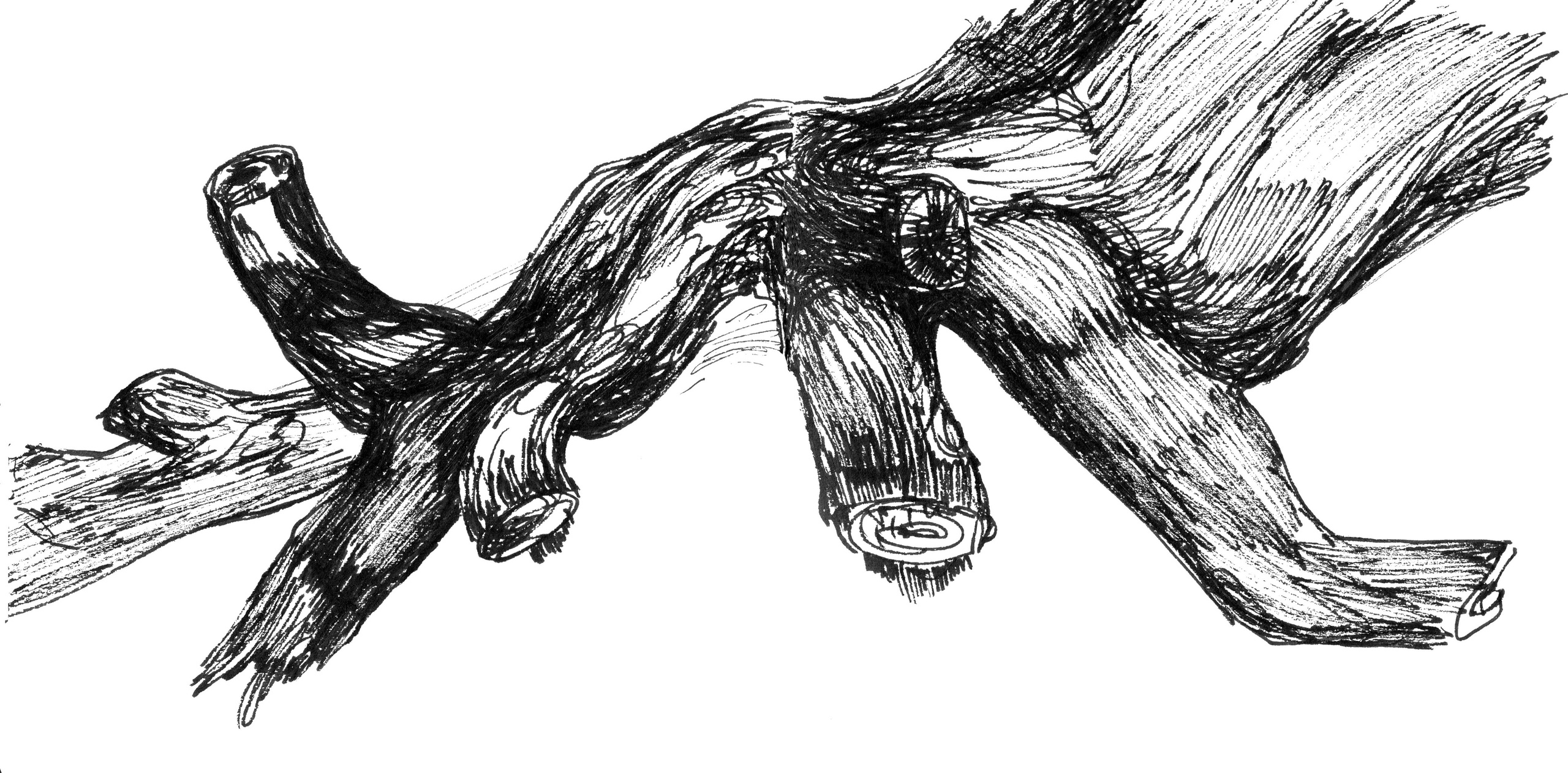 ДЕРЕВЬЯ. ИСКУССТВО ДЛЯ ТЕБЯ