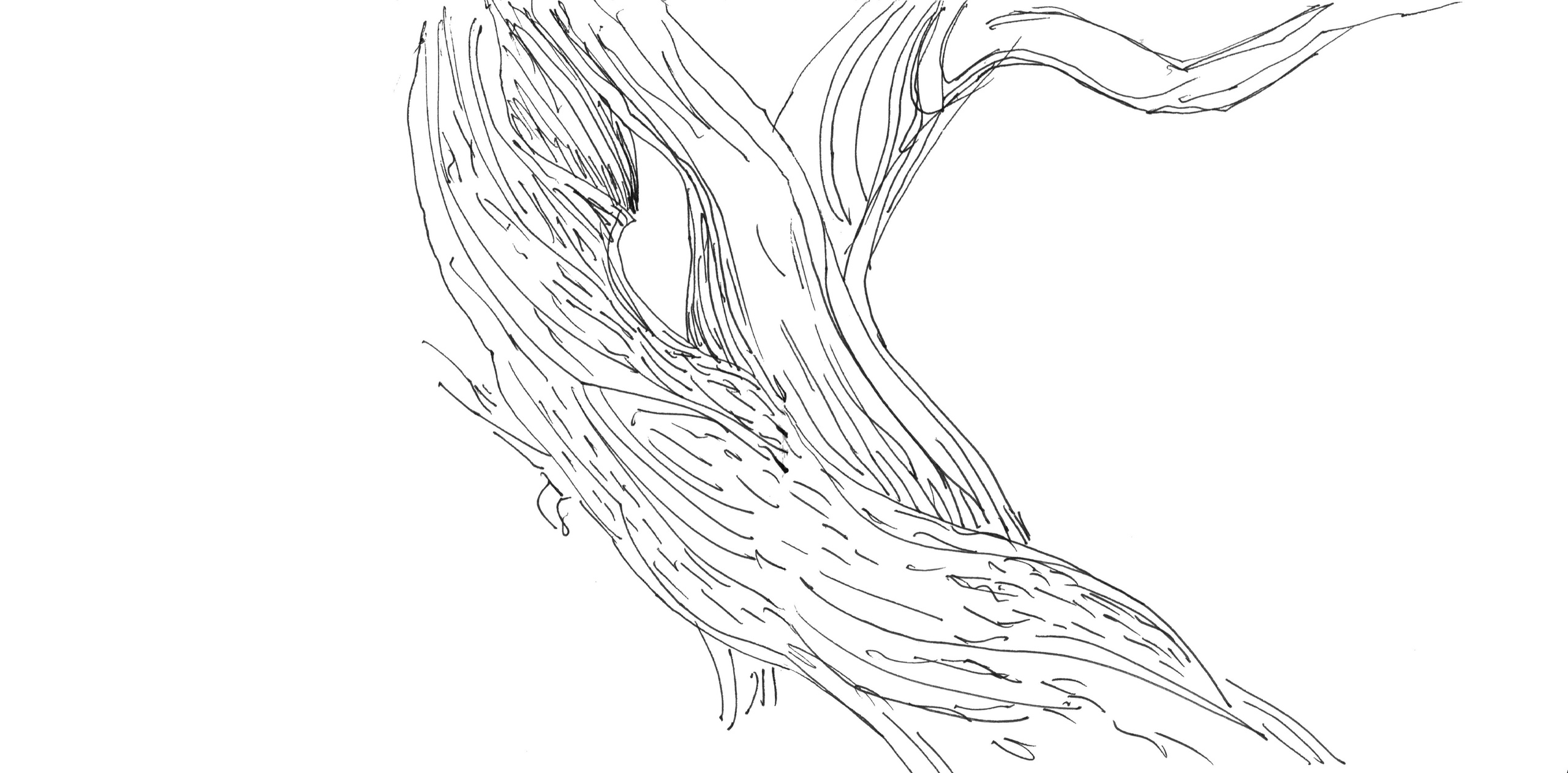 ДЕРЕВЬЯ. ИСКУССТВО ДЛЯ ТЕБЯ