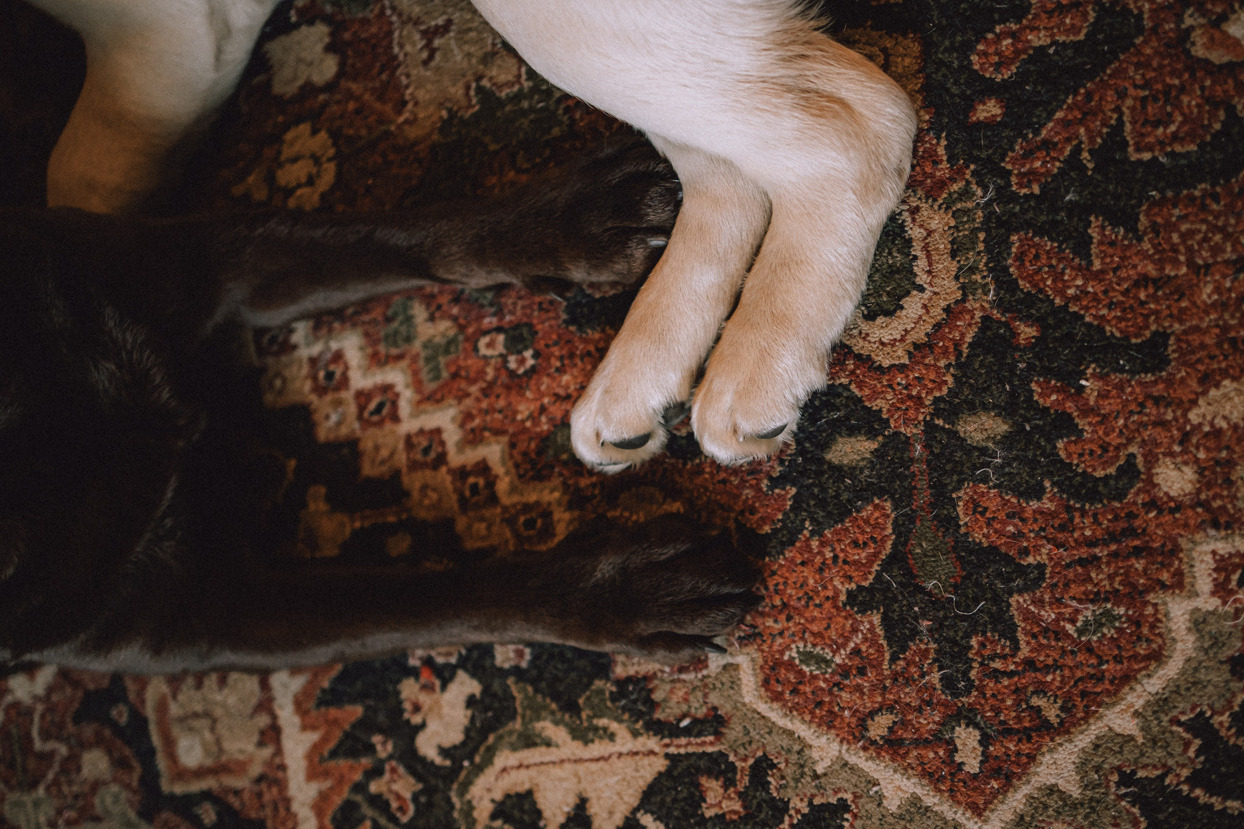 Ума, Берта и их семья