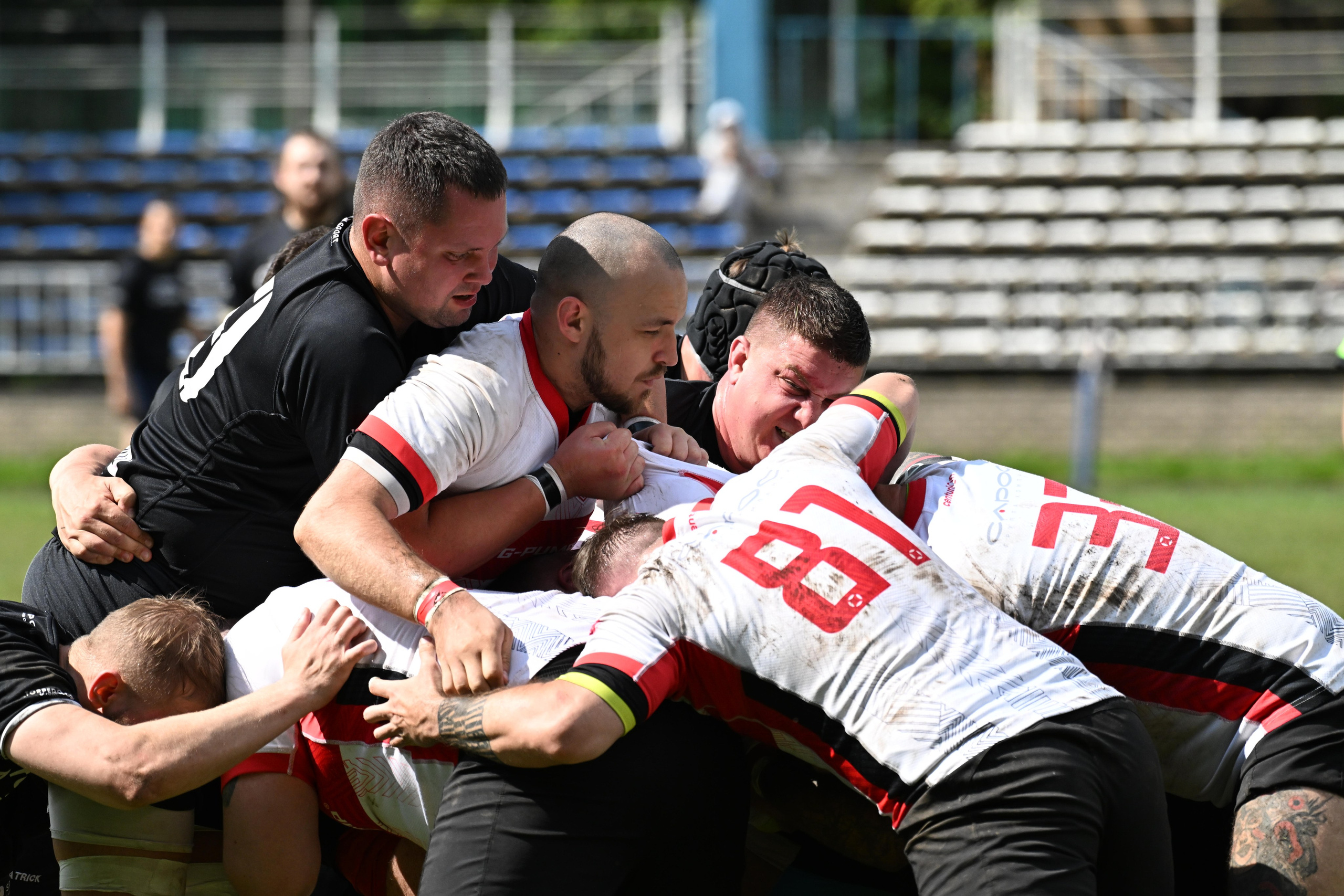 RUGBY. Lisa_krassna