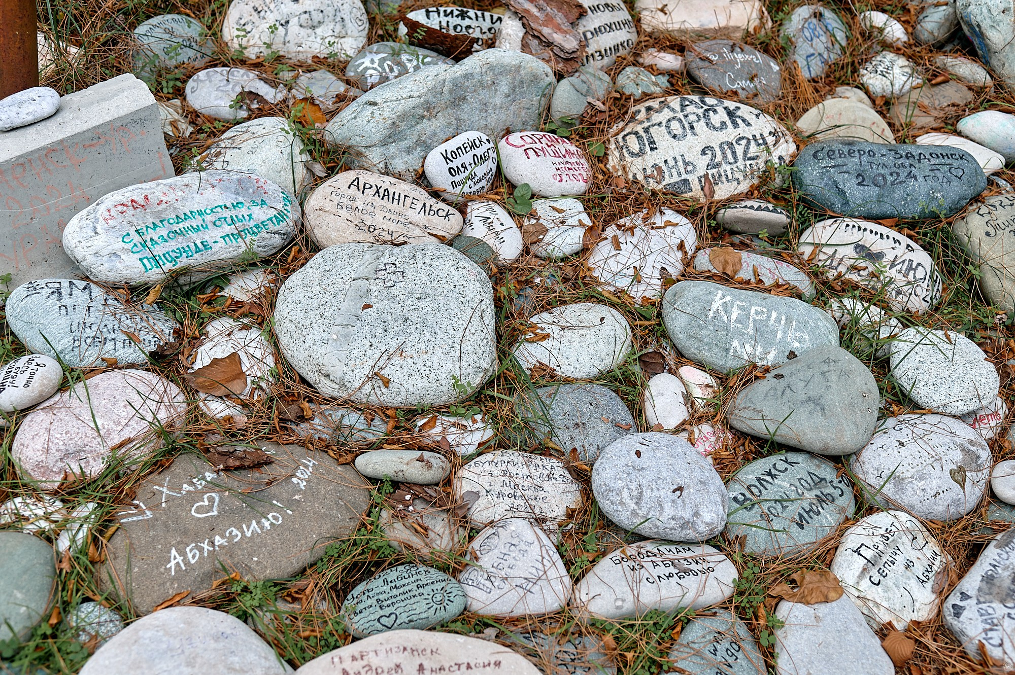 Пицунда, Абхазия. Декабрь 2024. Фотографии отовсюду и обо всем