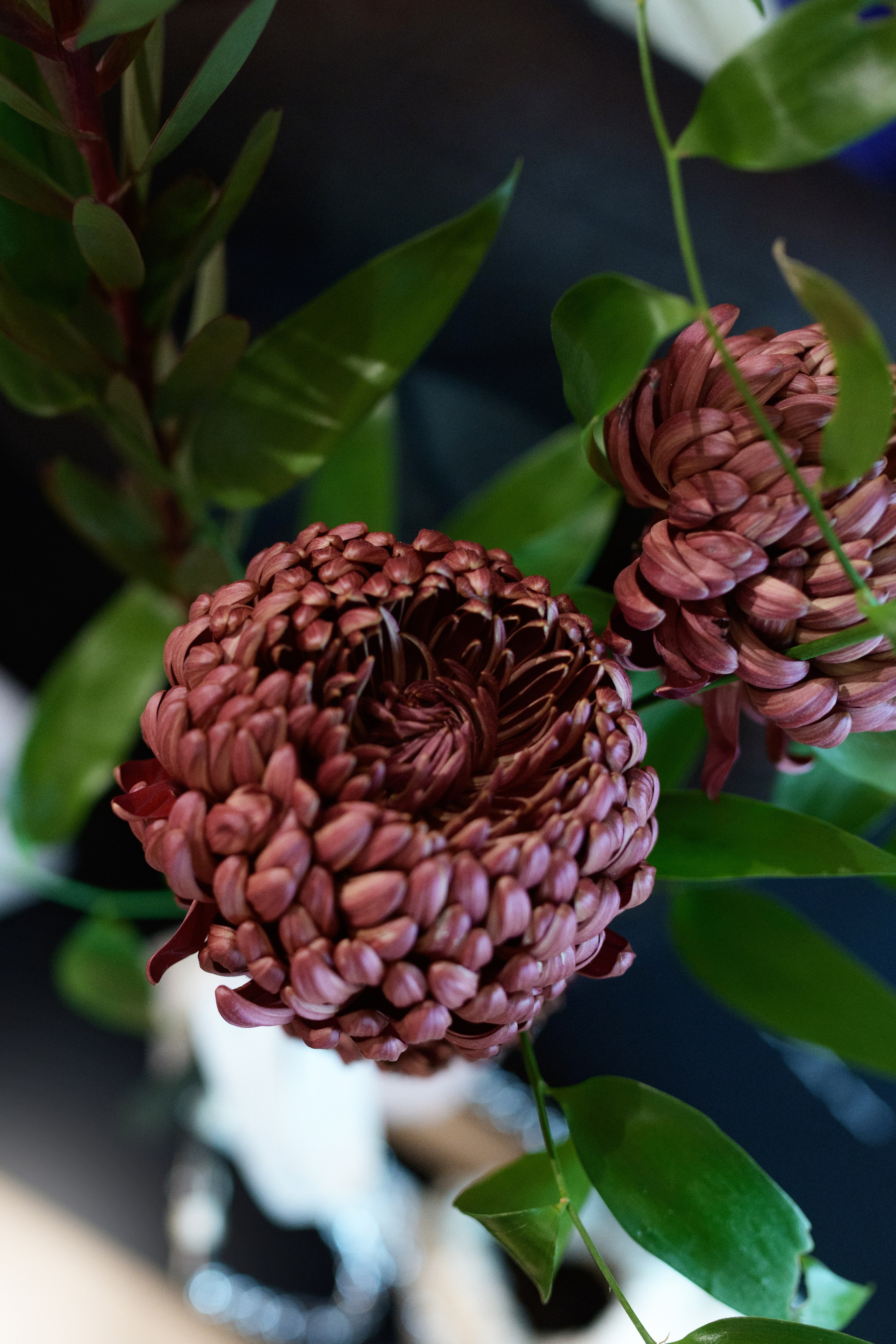 FАБРИКА grand opening. Свадебный фотограф в Минске