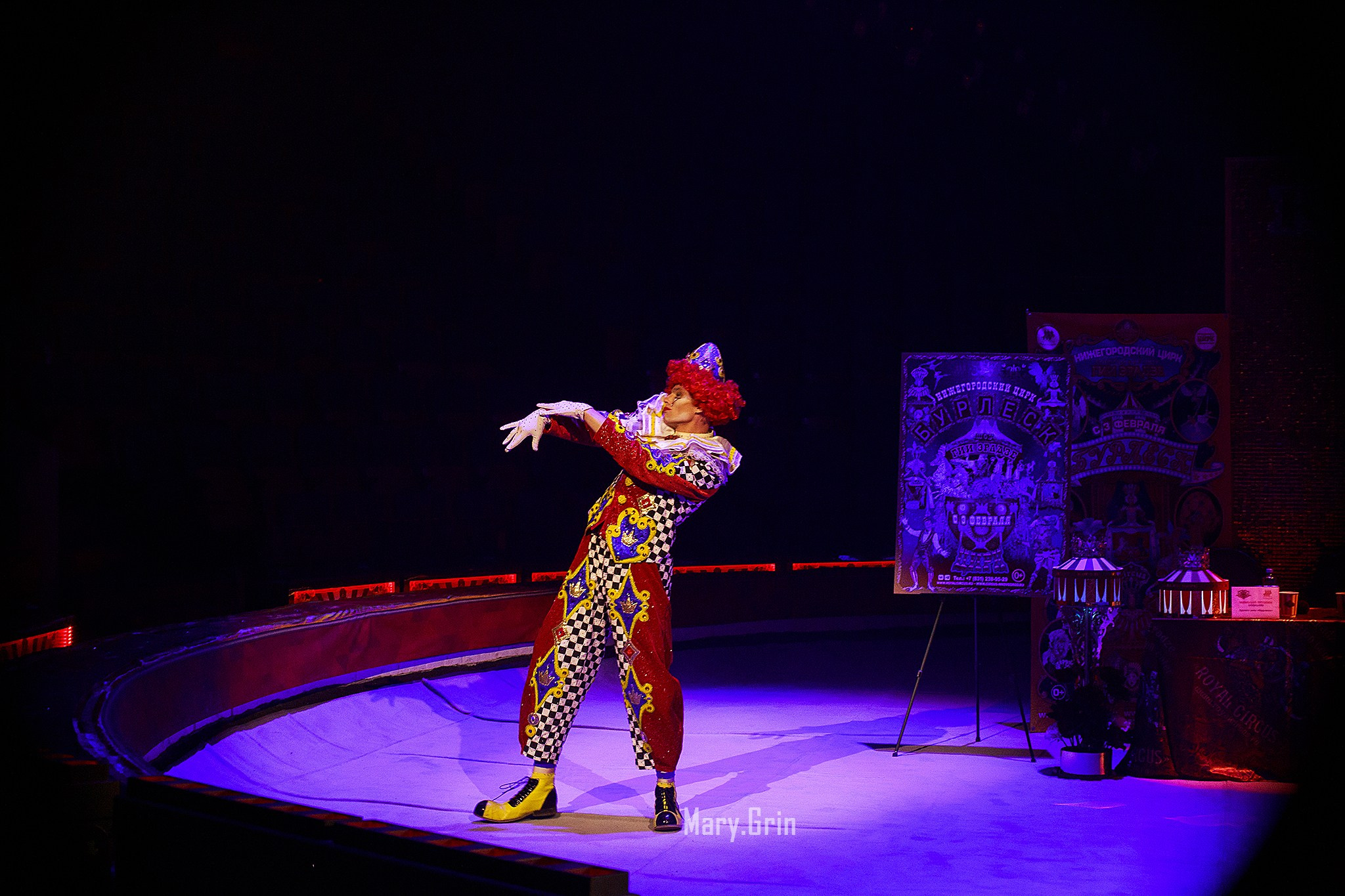 Цирк Гии Эрадзе. Детский и семейный фотограф, фотограф мероприятий Нижний Новгород