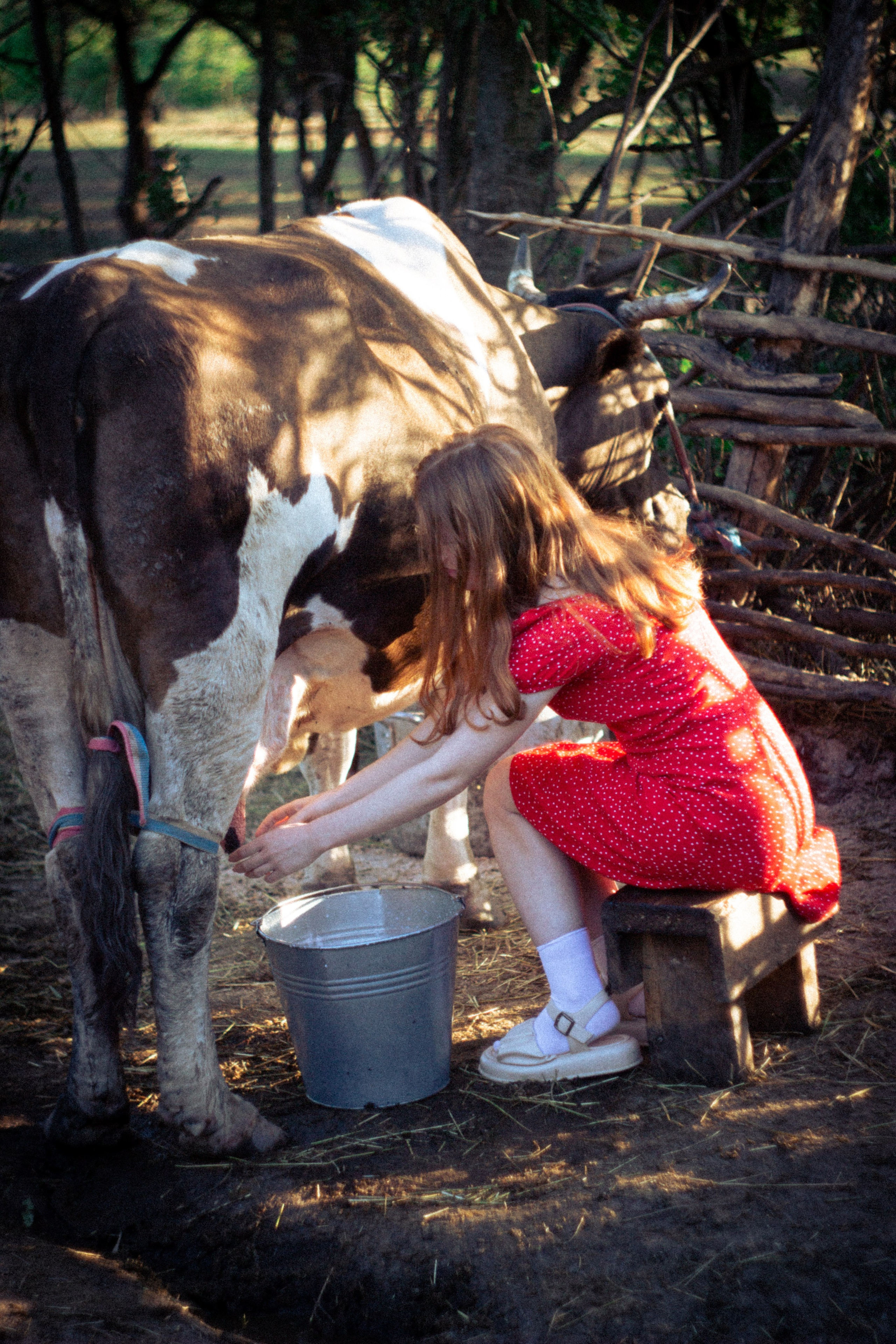 Платье в горошек. • Фотограф Александра Светозар Алчевск •