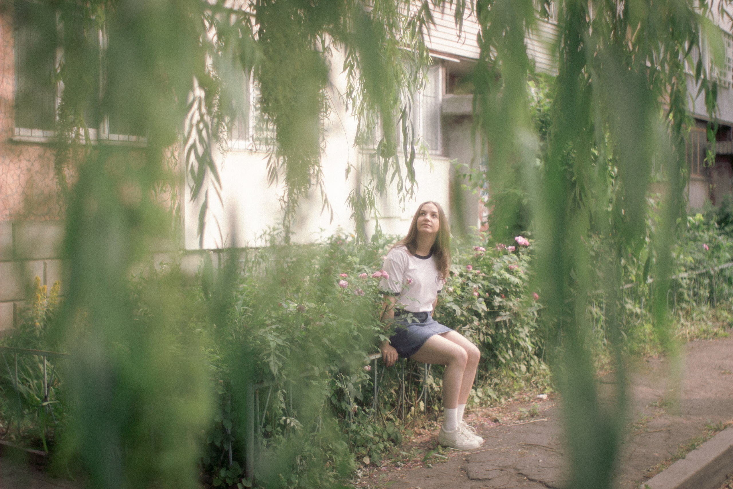 Безмятежное лето. • Фотограф Александра Светозар Алчевск •