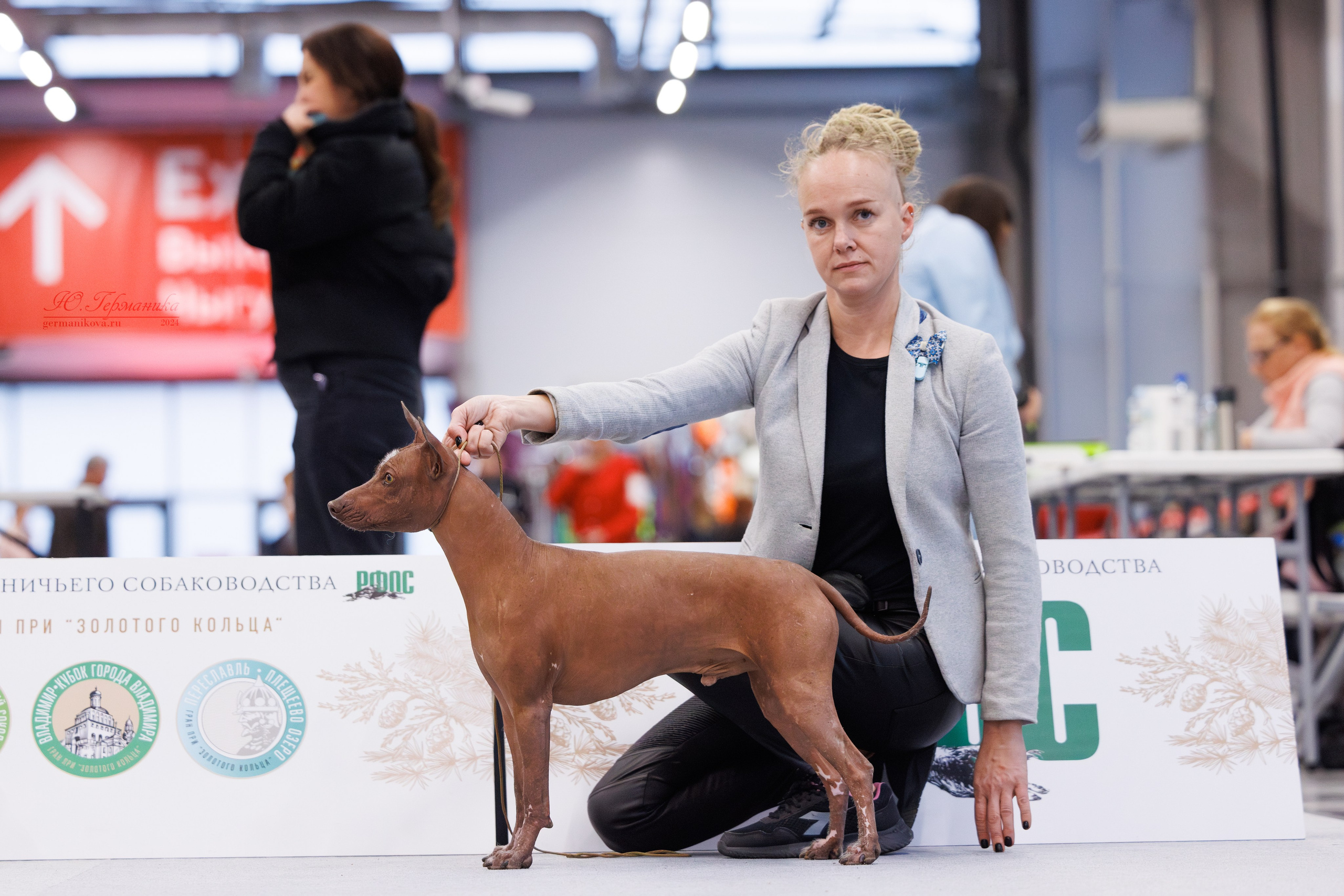 Казань Зилант 30-01.12 2024. Фотограф-анималист Юлия Германика